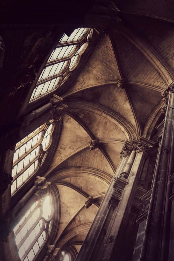 Background ng Dark Academia Wallpaper