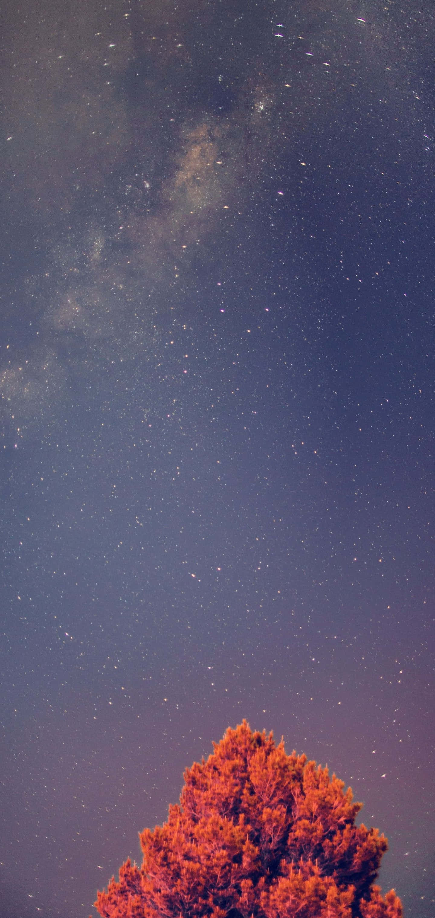 Background ng Galaxy S10 Plus Wallpaper