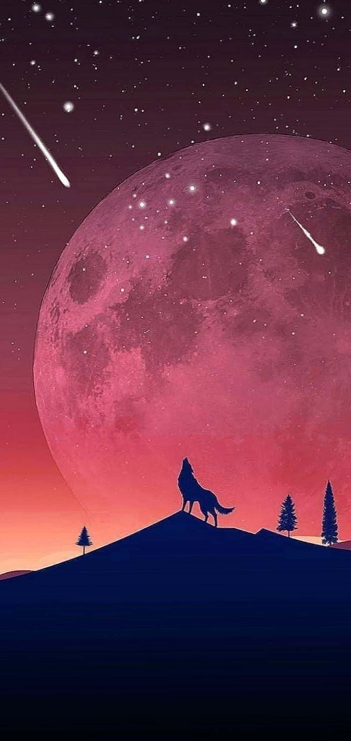 Background ng Galaxy S10 Plus Wallpaper