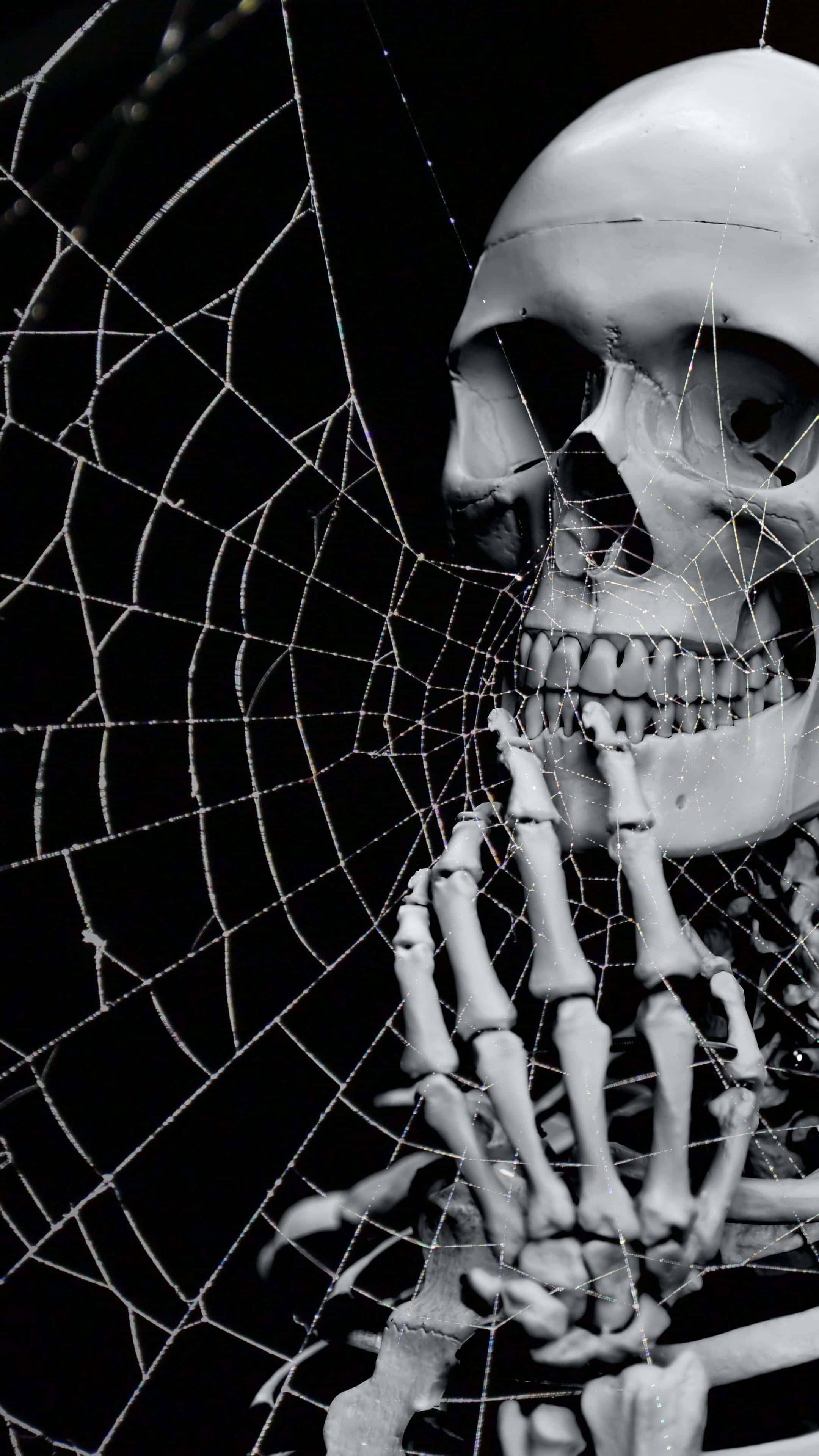 Background ng Halloween 2160 x 3840 Wallpaper