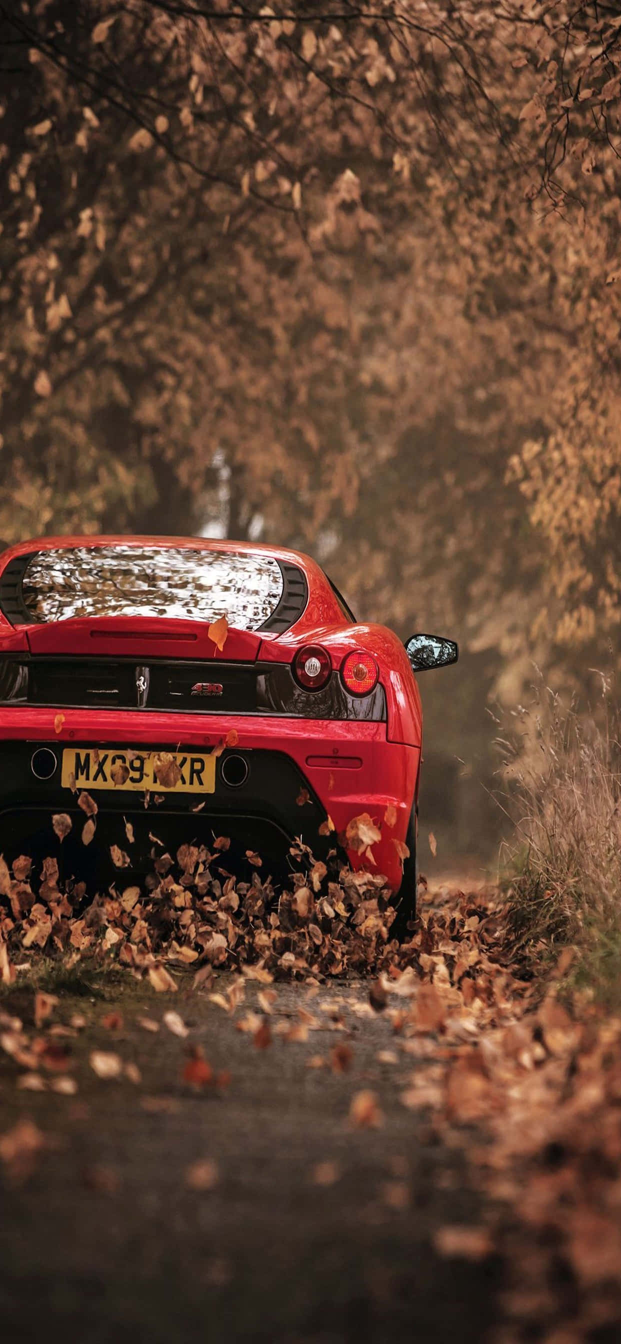 Background ng iPhone Xs Max Ferrari Pula na Ferrari F430 Na-tuyo na Dahon Wallpaper