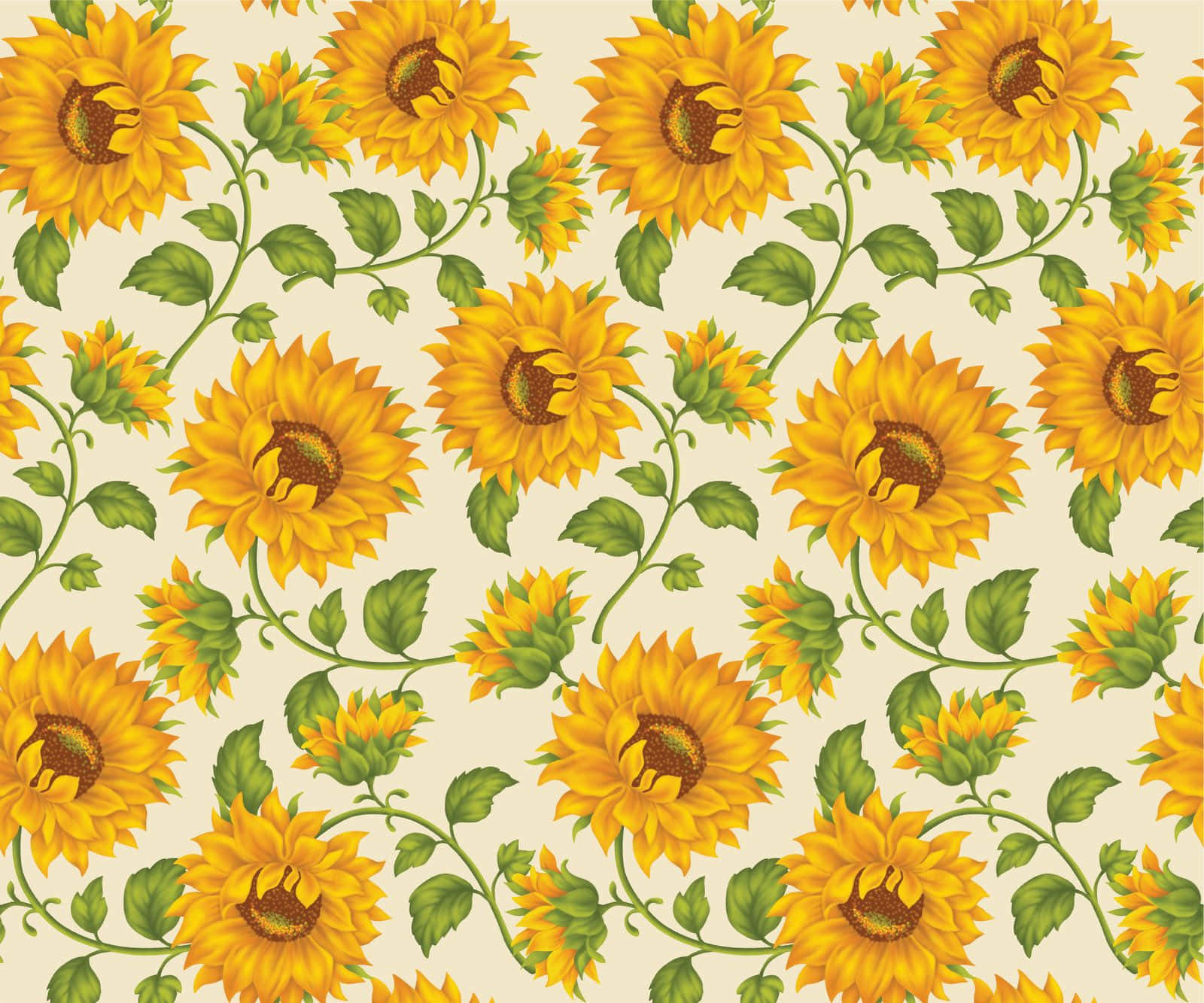 Background ng Sunflower Wallpaper