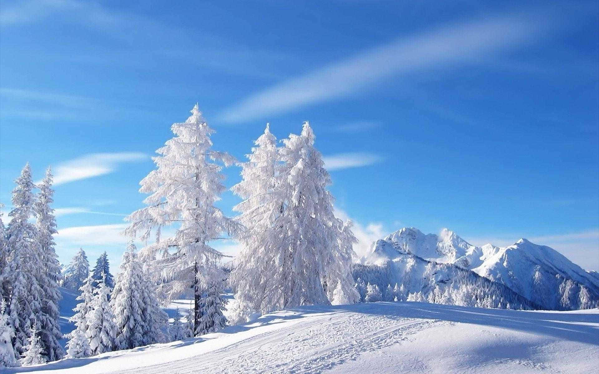 Background ng Winter Wonderland na May Niyebeng Bundok Wallpaper
