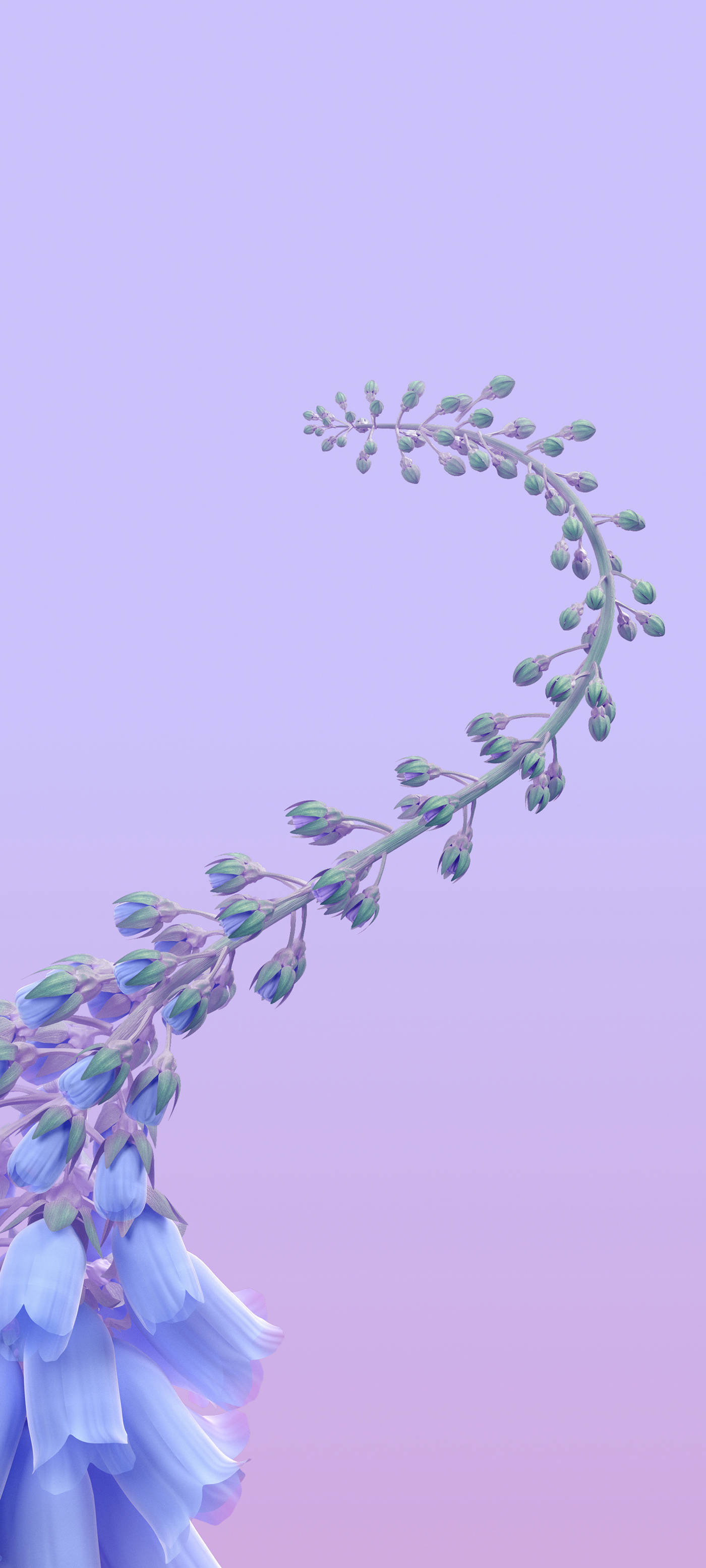 Baging ng Kampanilyang Ube na Interaktibo Wallpaper