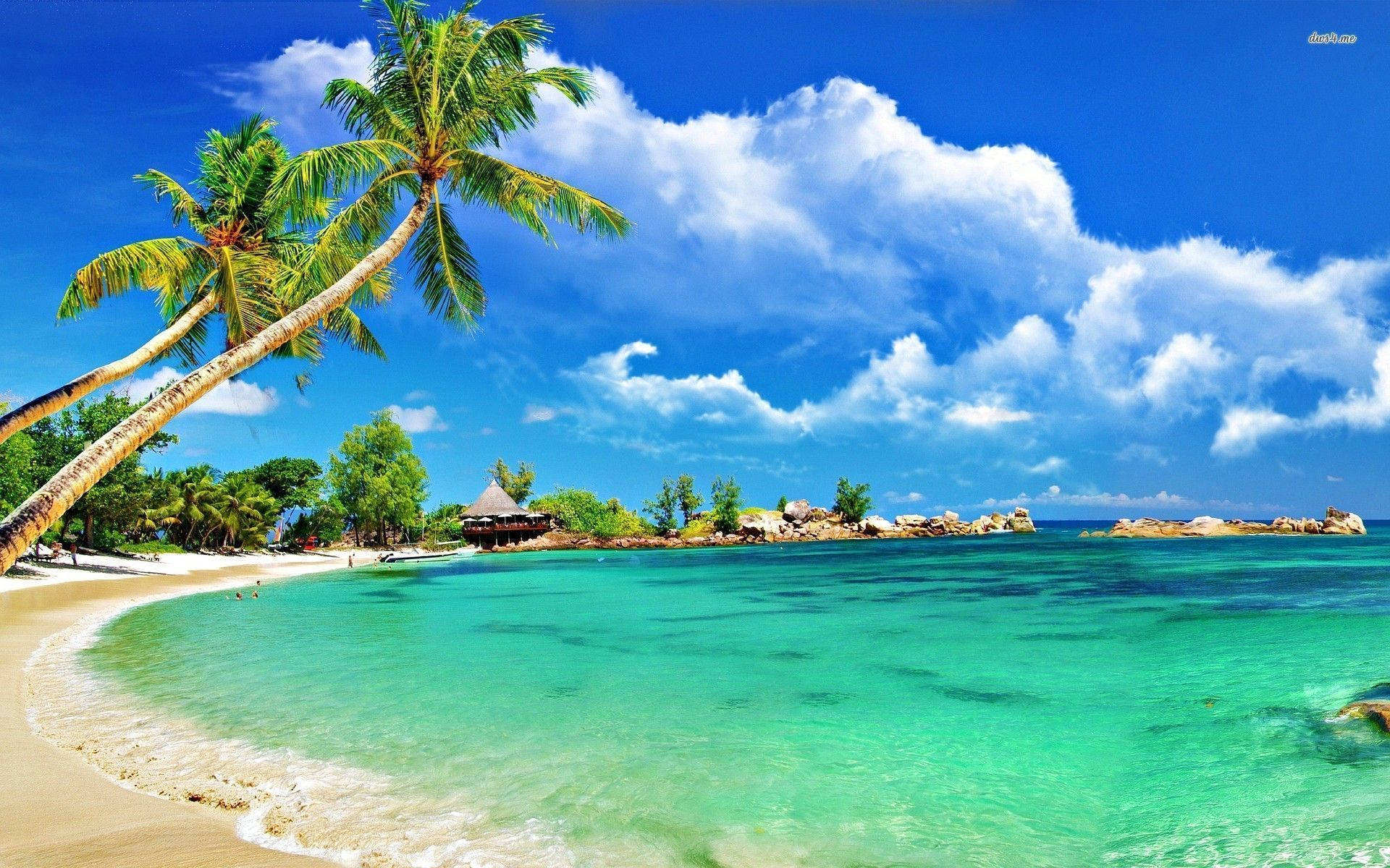 Baybayin ng Tropikal na Montego Bay Wallpaper