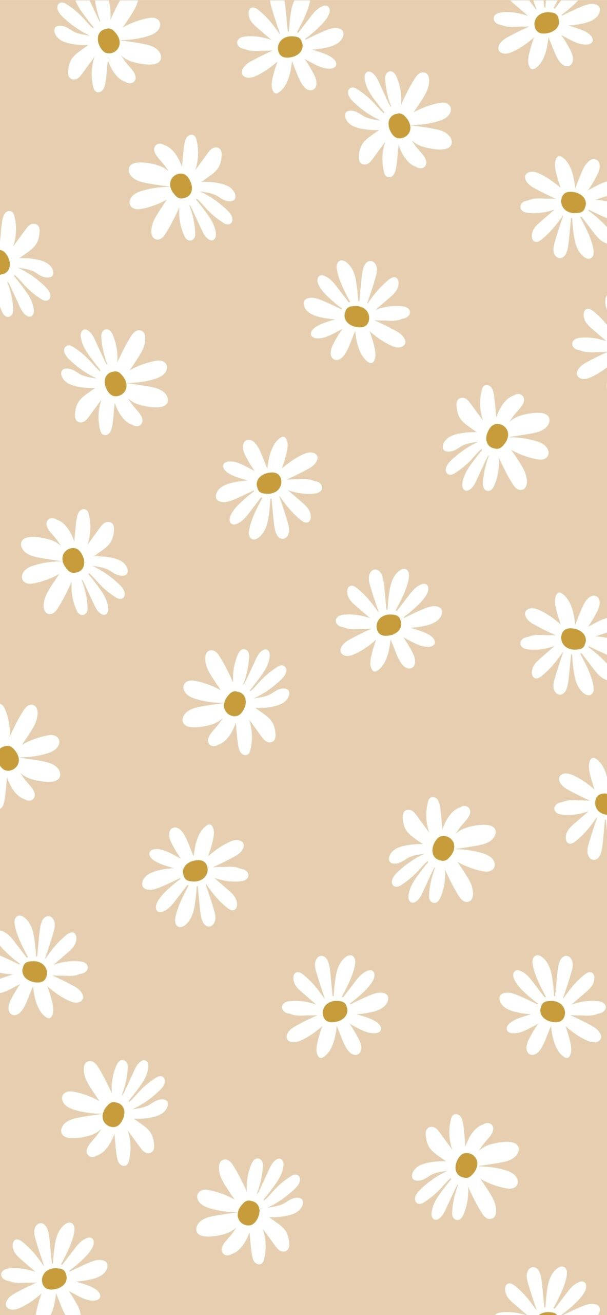 Beige Aesthetic Phone na May Bulaklak na Daisy Wallpaper
