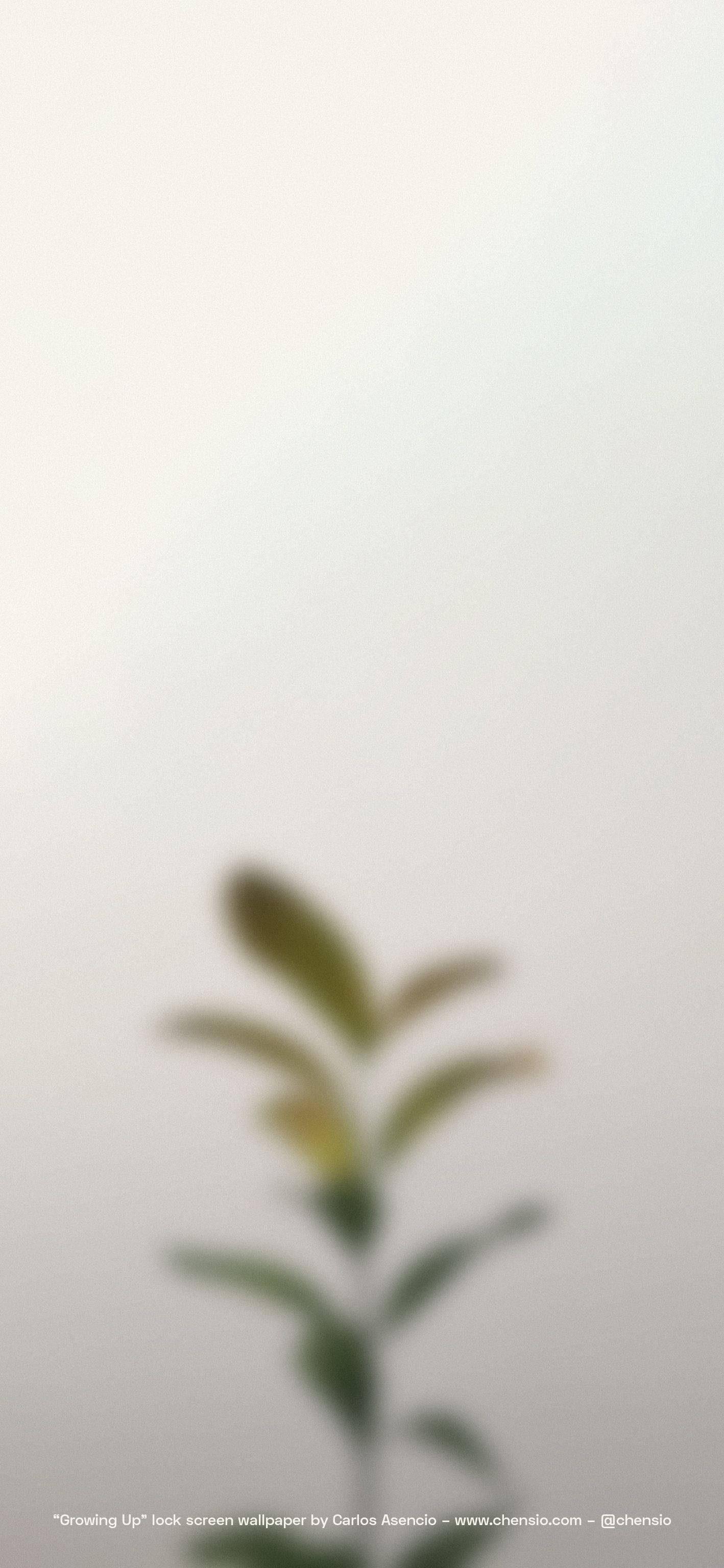 Beige iPhone para sa Contemporary Style Wallpaper