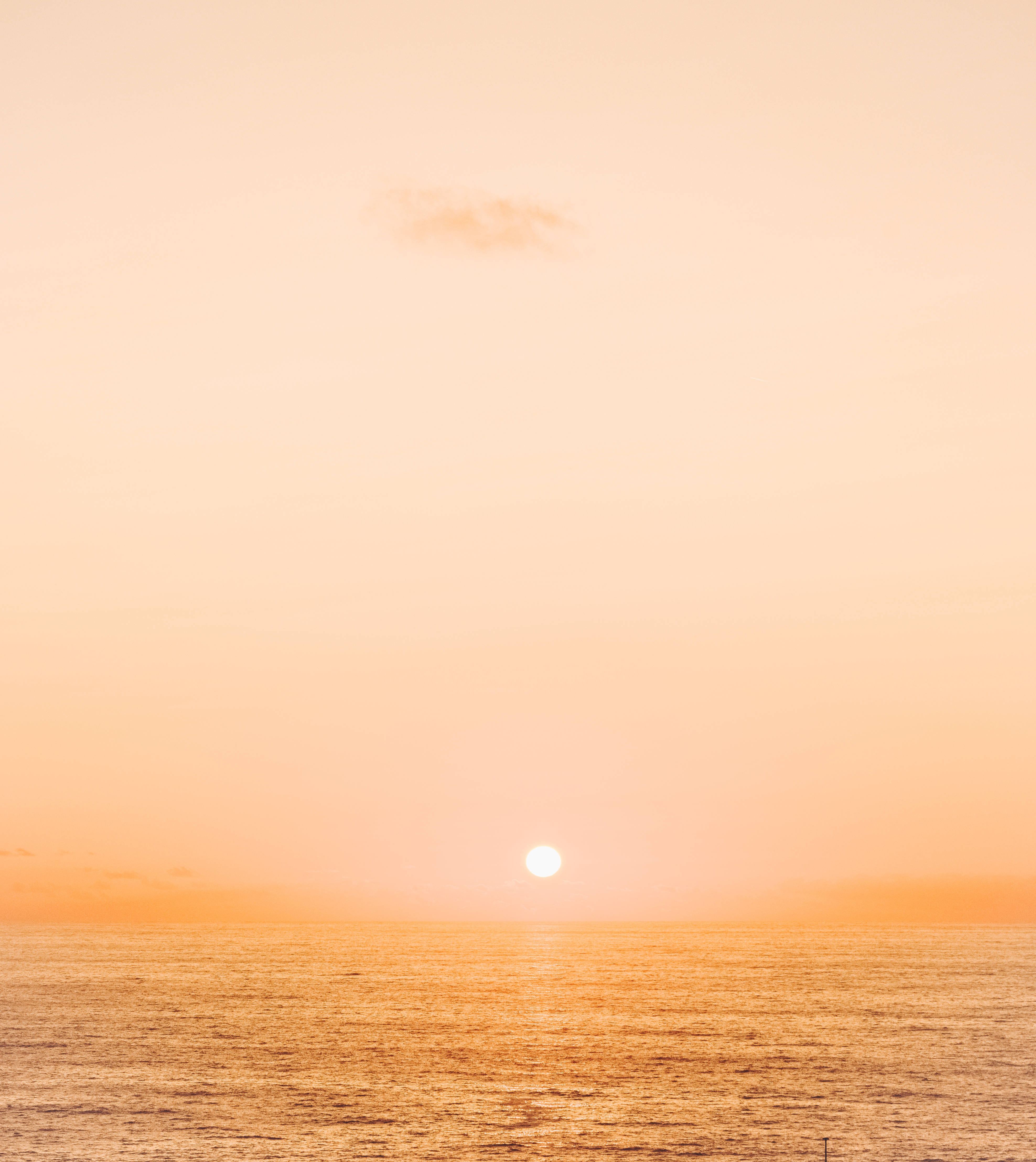 Beige na Paglubog-lubog Wallpaper
