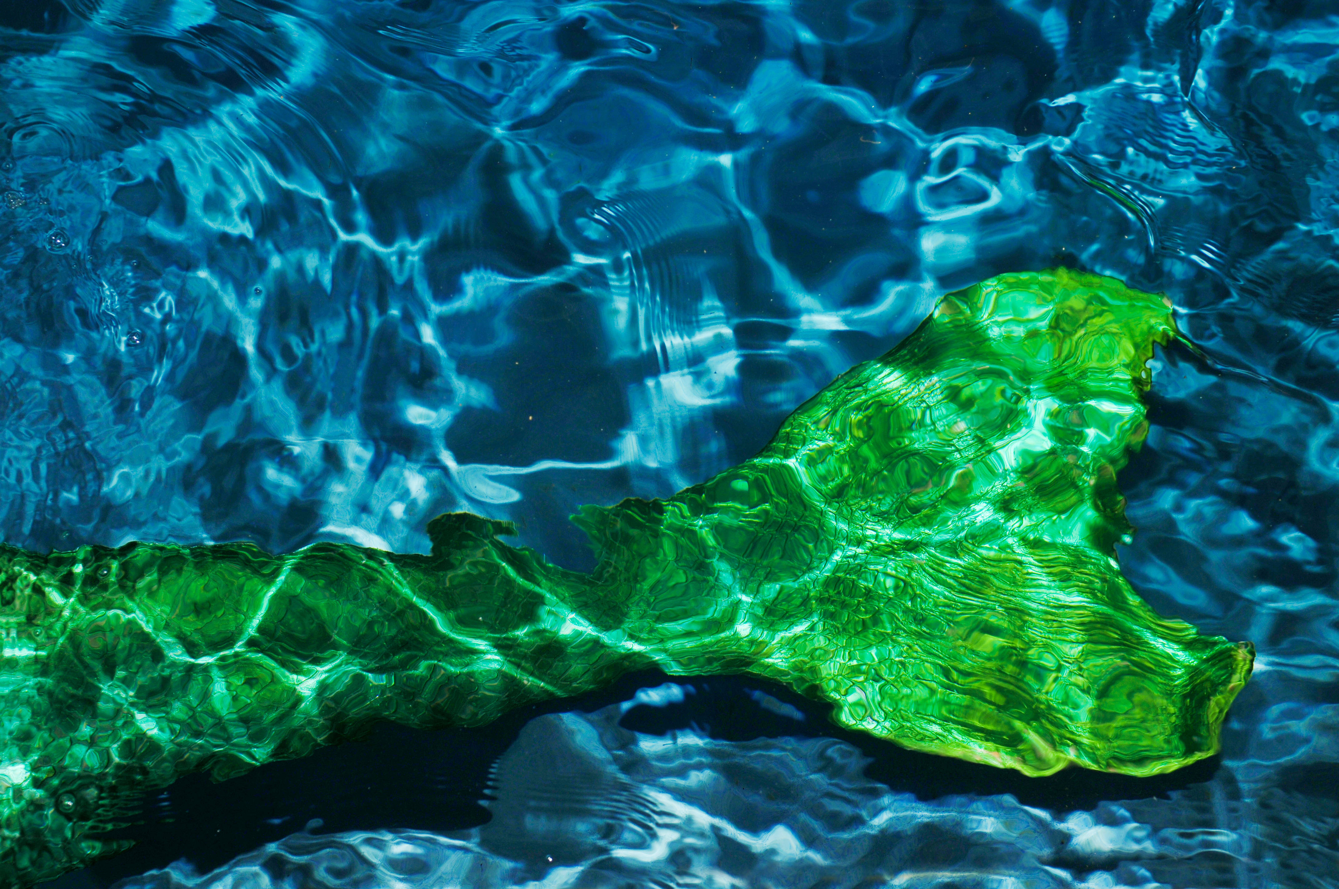 Berdeng Buntot ng Sirena sa Ilalim ng Tubig Wallpaper