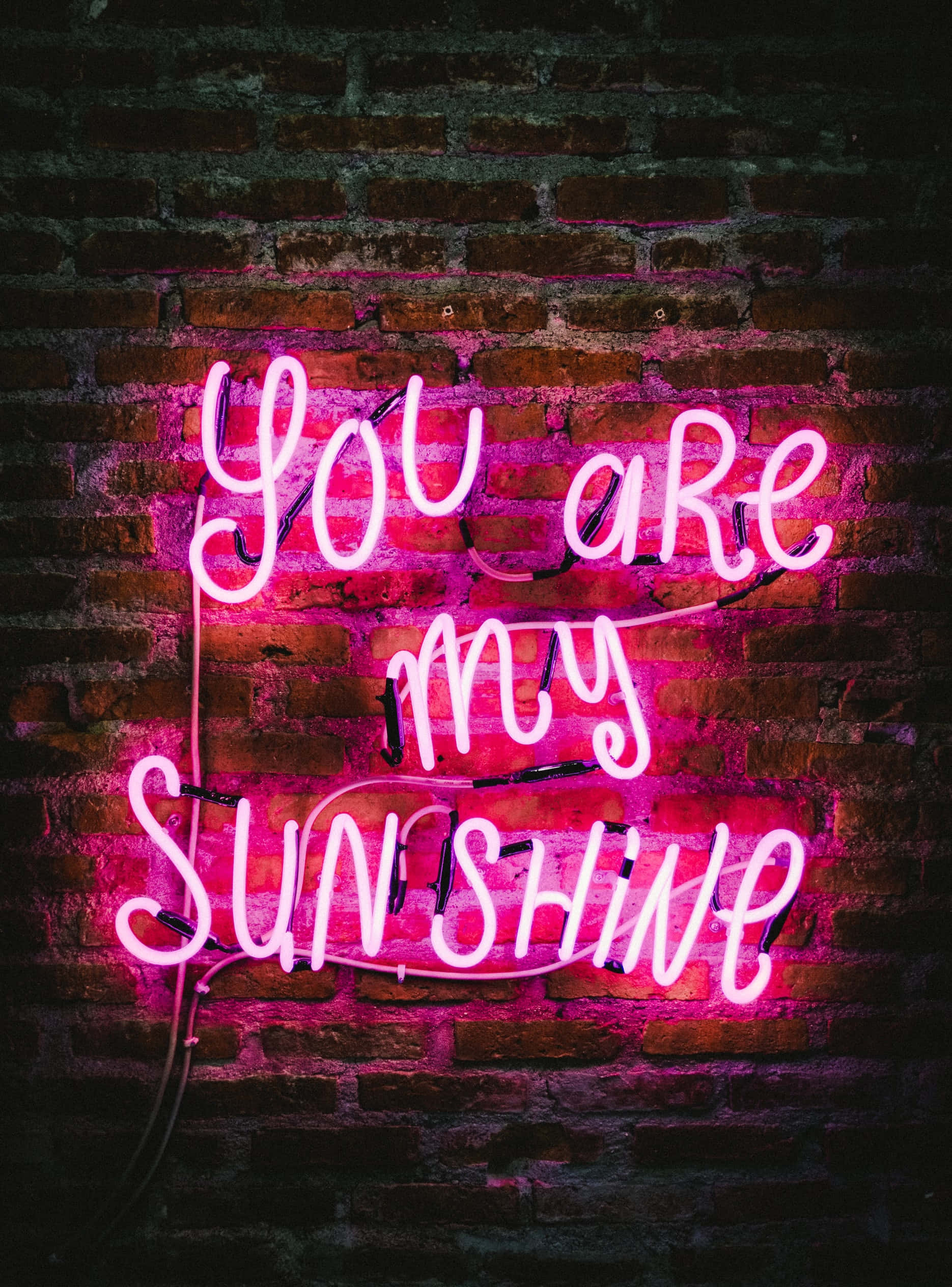 Bigyang-buhay ang kulay gamit ang makulay na Neon Aesthetic na ito Wallpaper