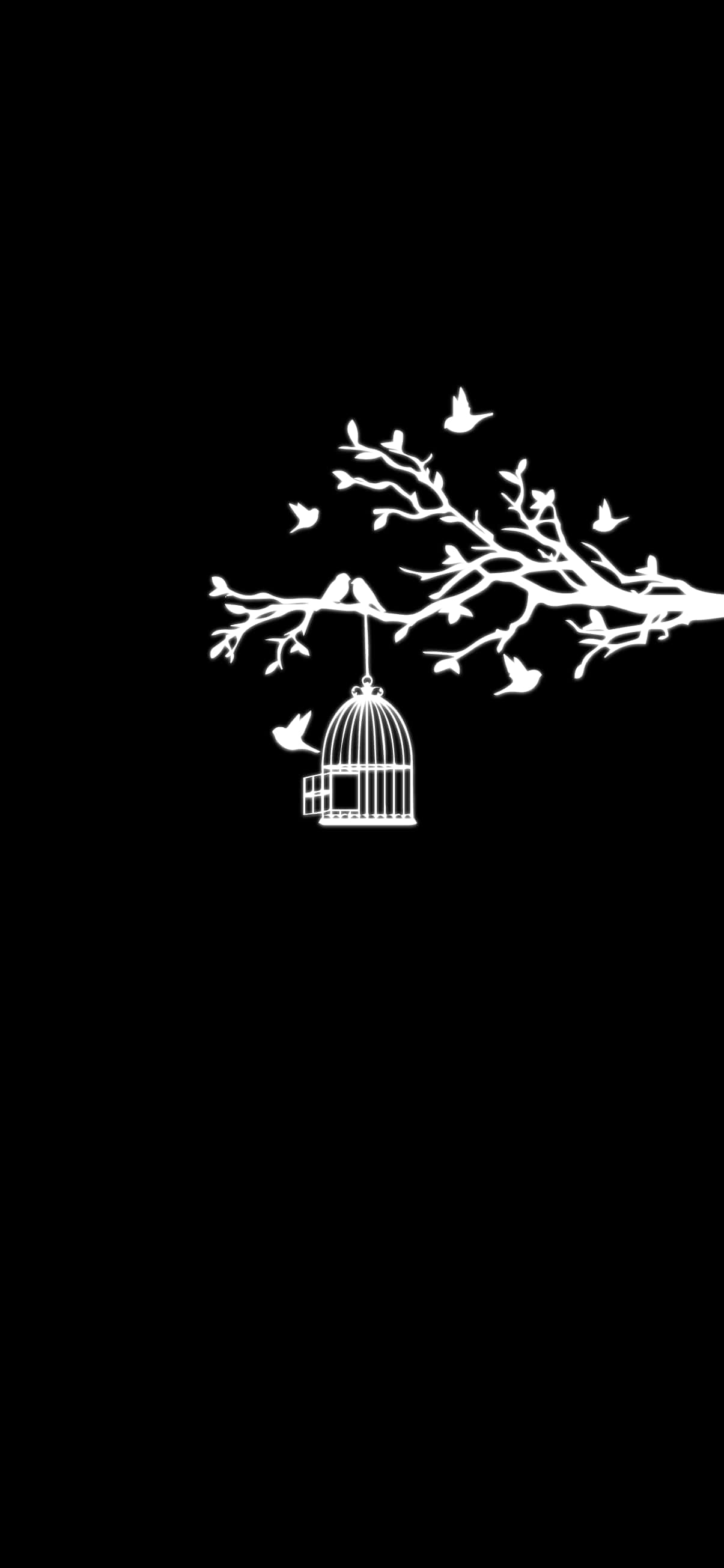 Bird Cage Pixel 3XL AMOLED Background Wallpaper