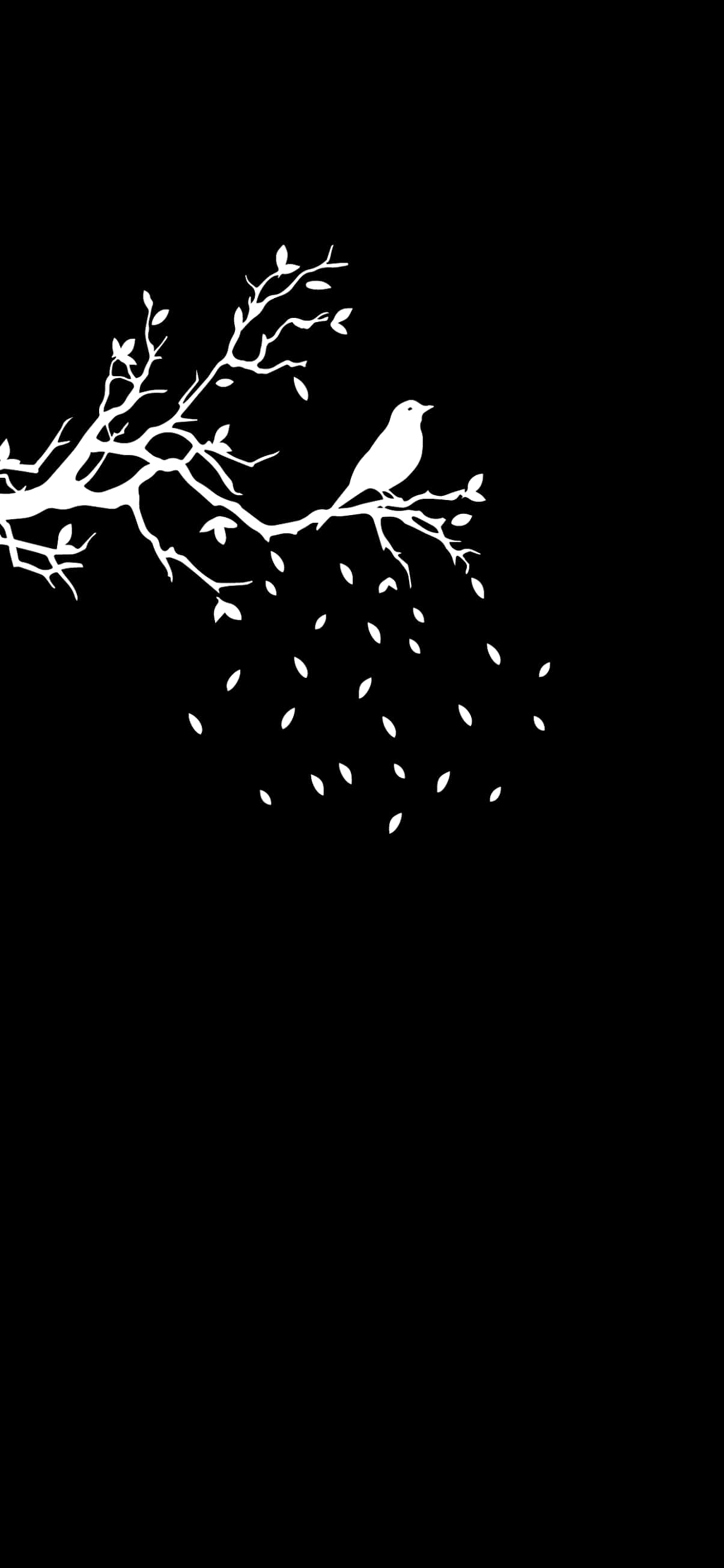 Bird On Tree Pixel 3 OLED Background Wallpaper