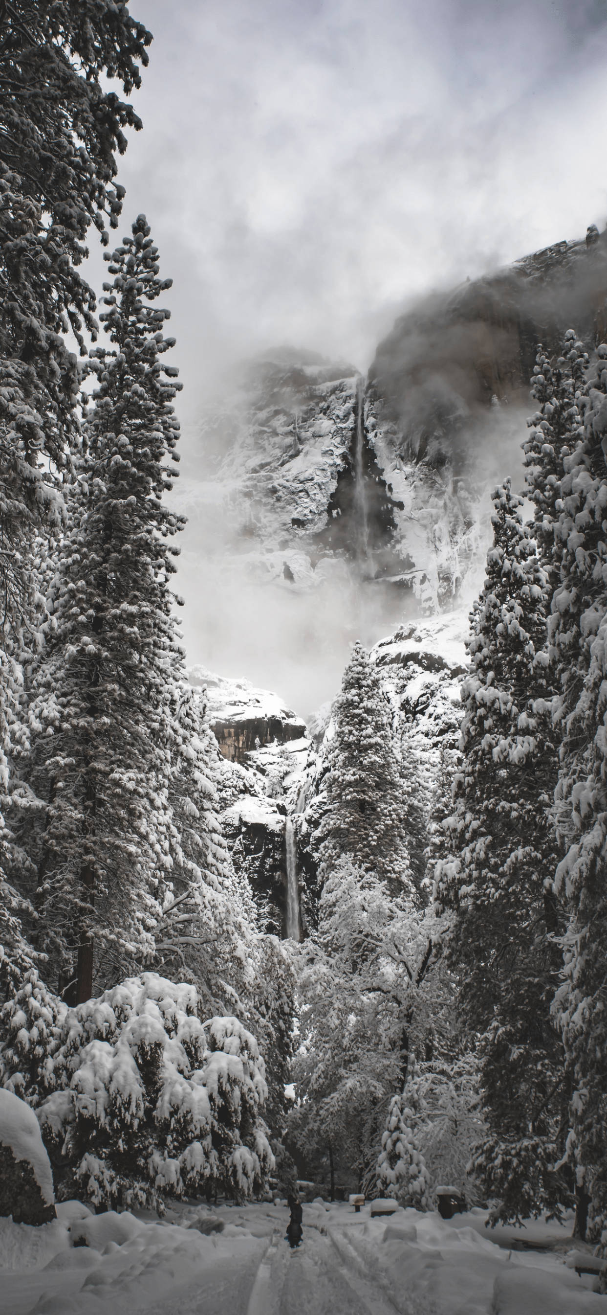 Black-And-White Yosemite iPhone Wallpaper
