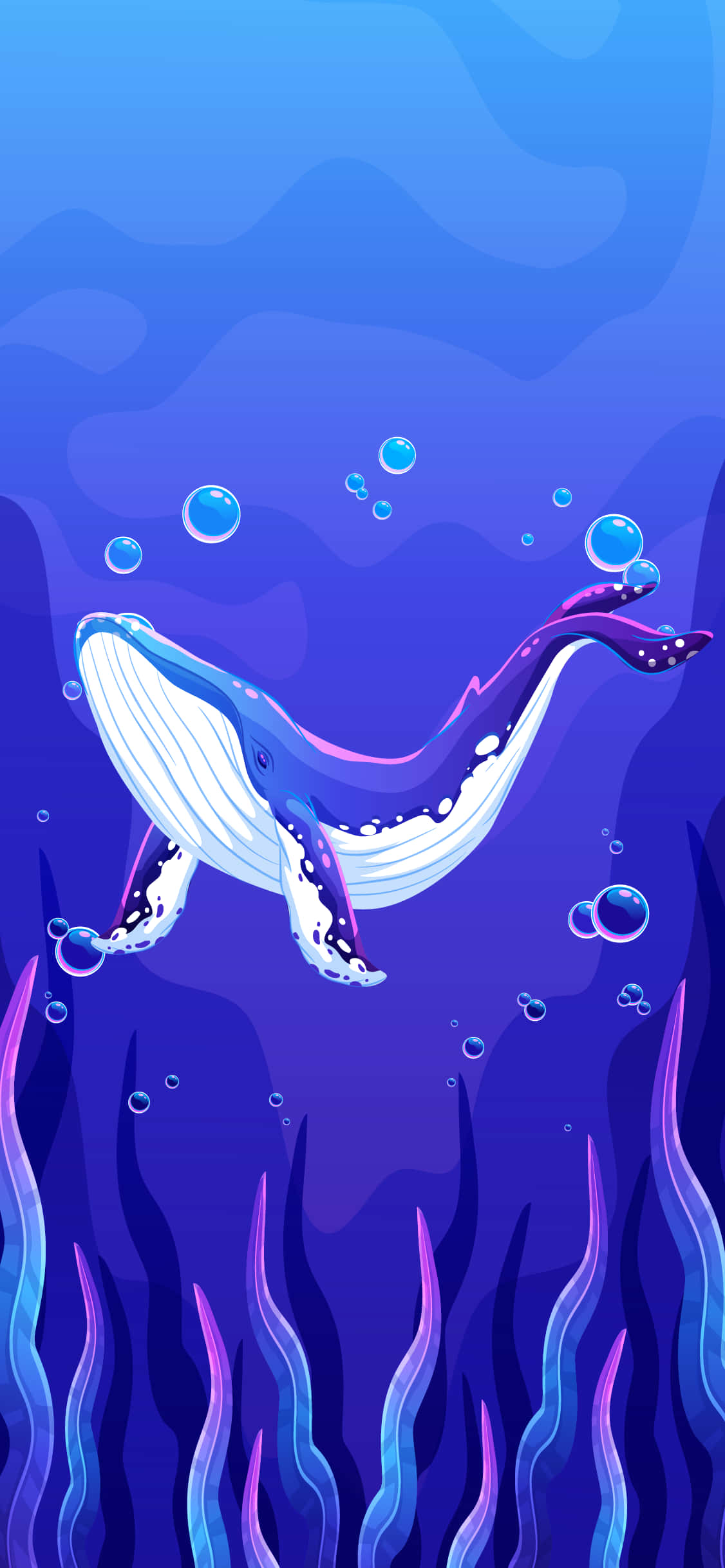 Blue Whale Sa Ilalim ng Ocean Digital Art Picture Wallpaper