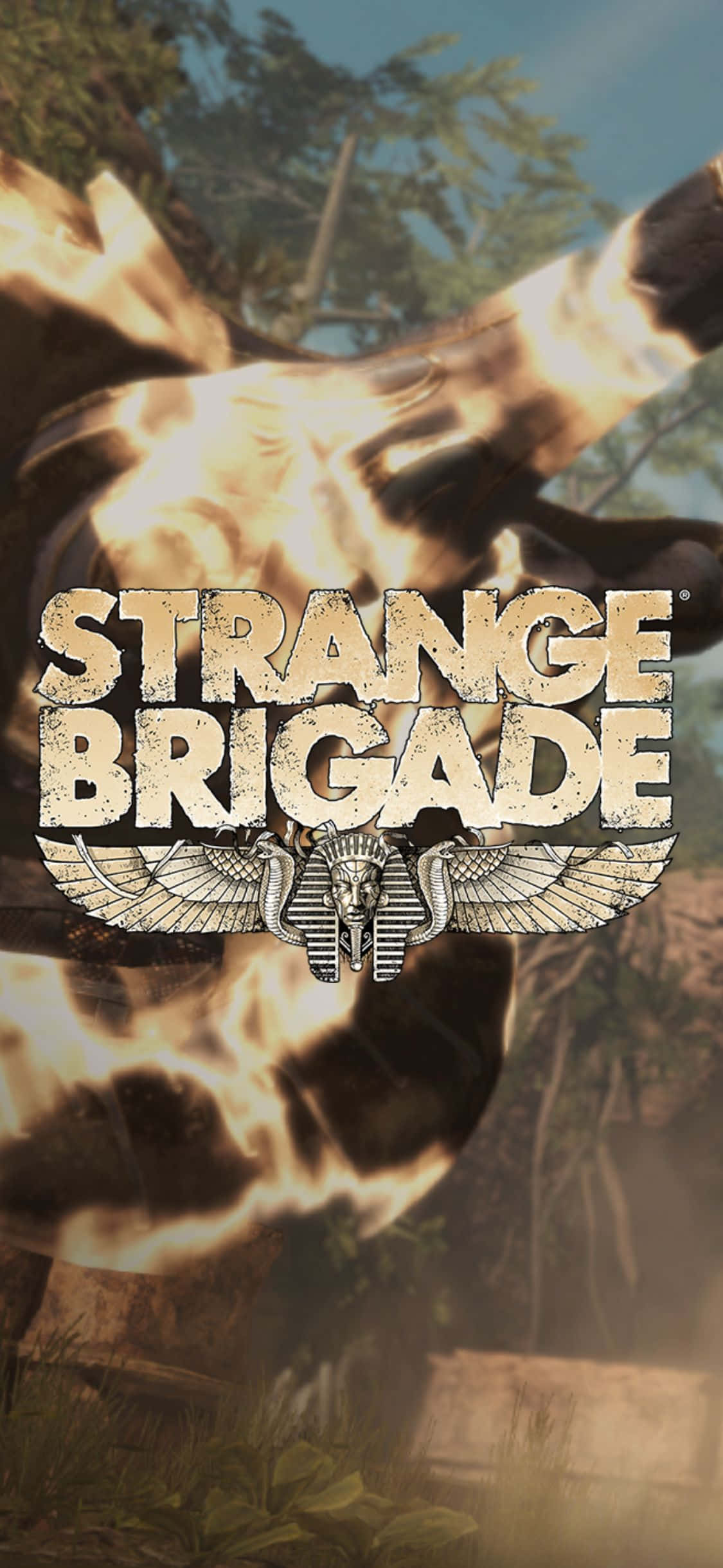 Bote na May Apoy na Sandata iPhone X Strange Brigade Background Wallpaper