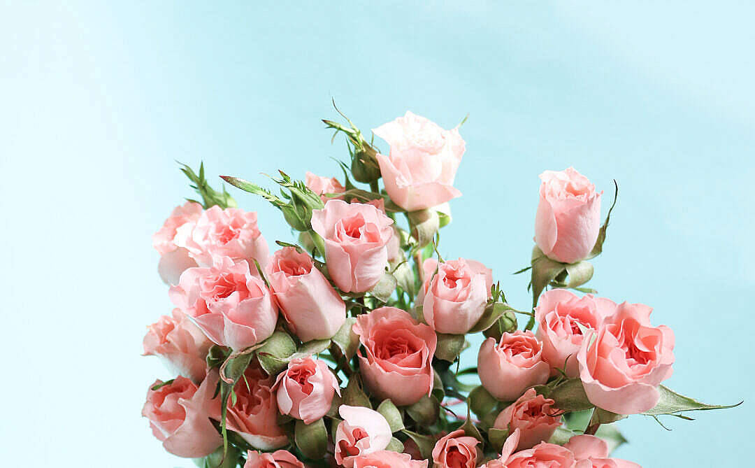 Bouquet Ng Mga Bulaklak Sa Pastel Pink Aesthetic Wallpaper