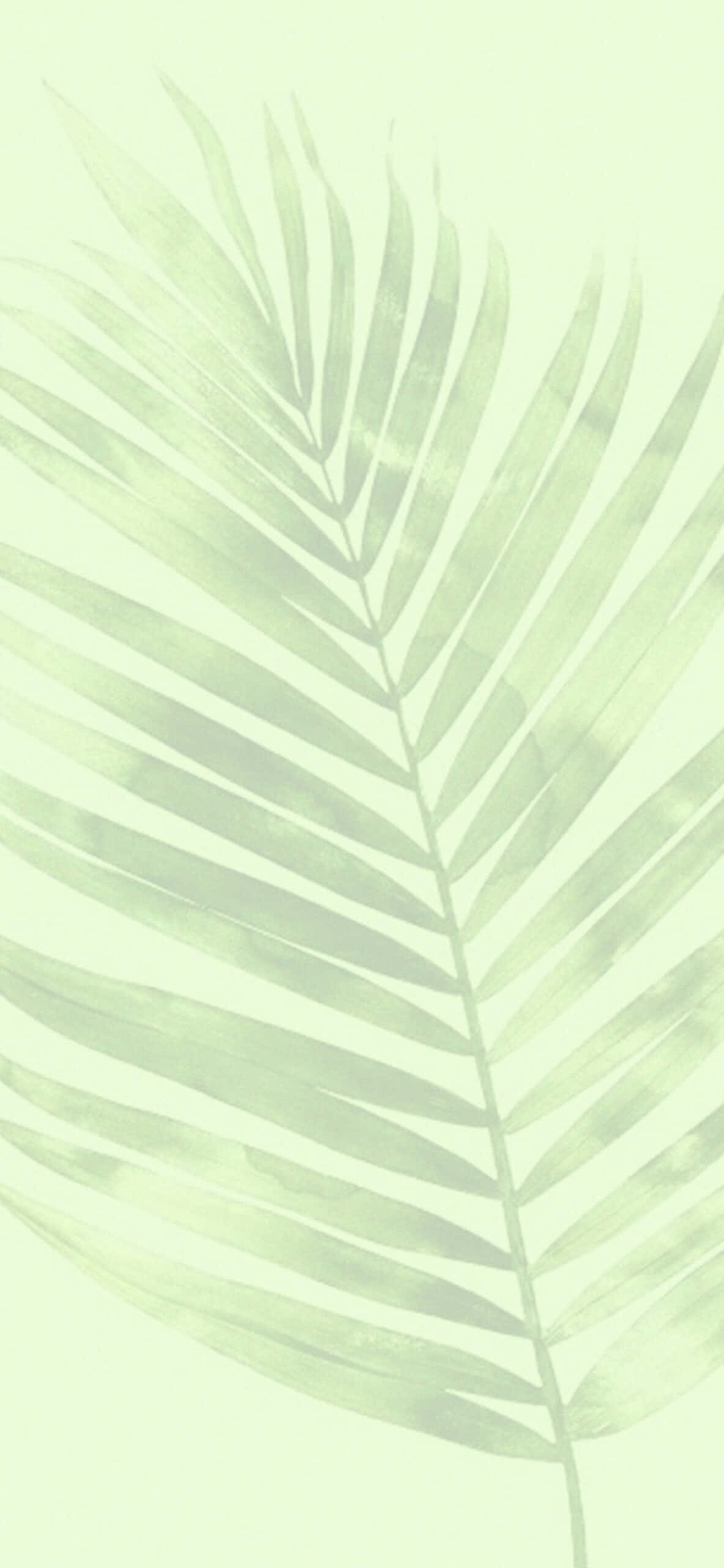 Pagdala og presko nga hangin sa imong space gamit ang green aesthetic. Wallpaper