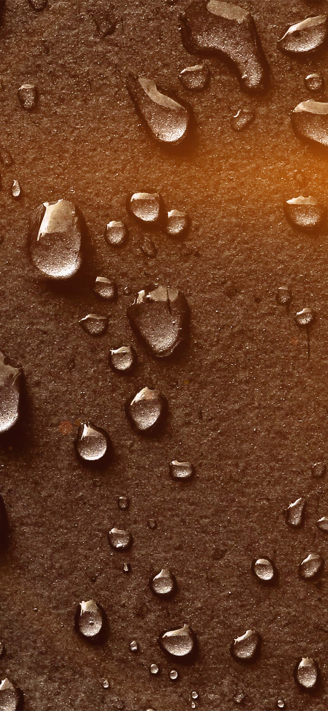 Bronze Panel Na May Moisture Wallpaper