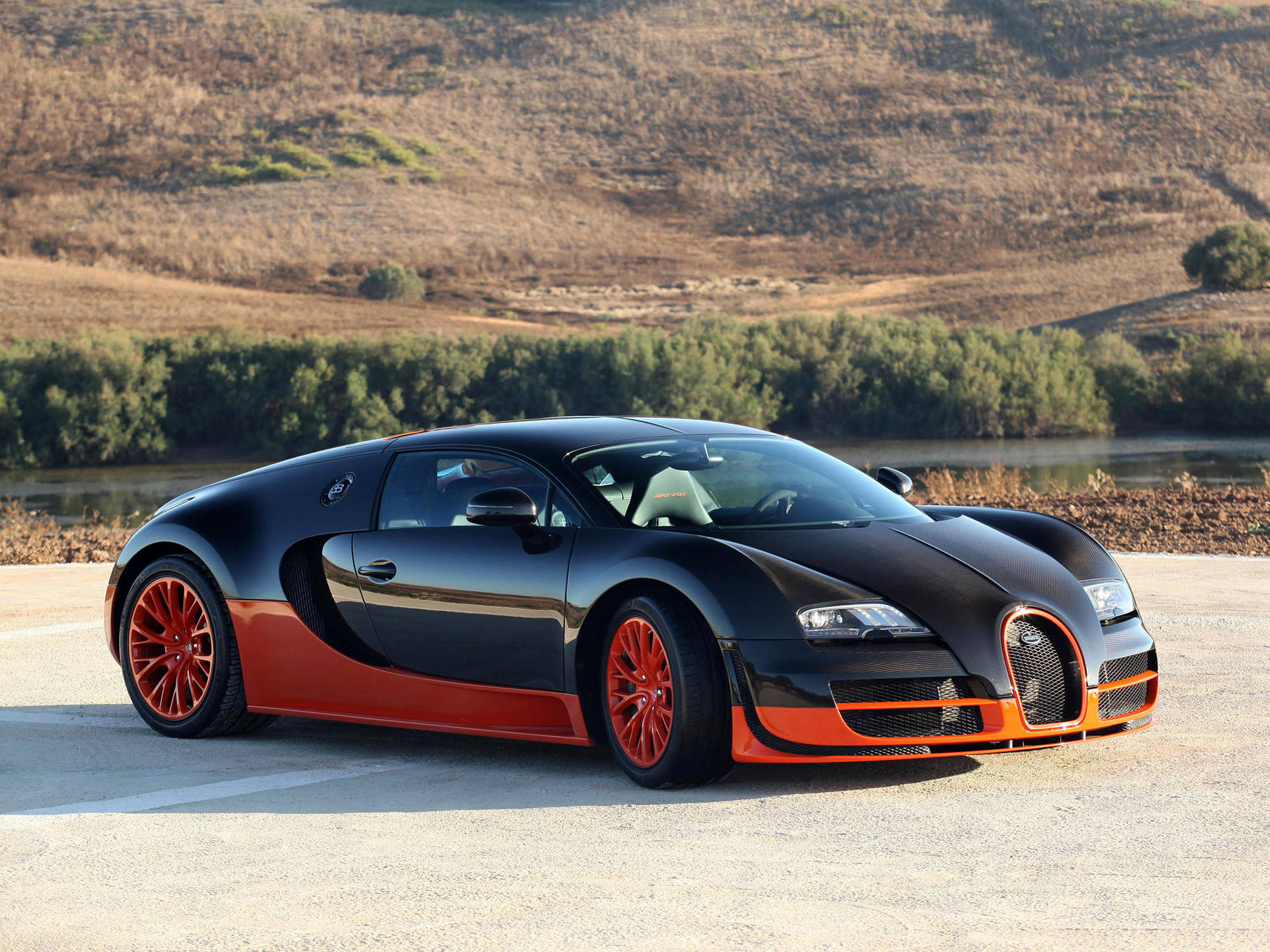 Bugatti Veyron na Naka-park sa Labas Wallpaper
