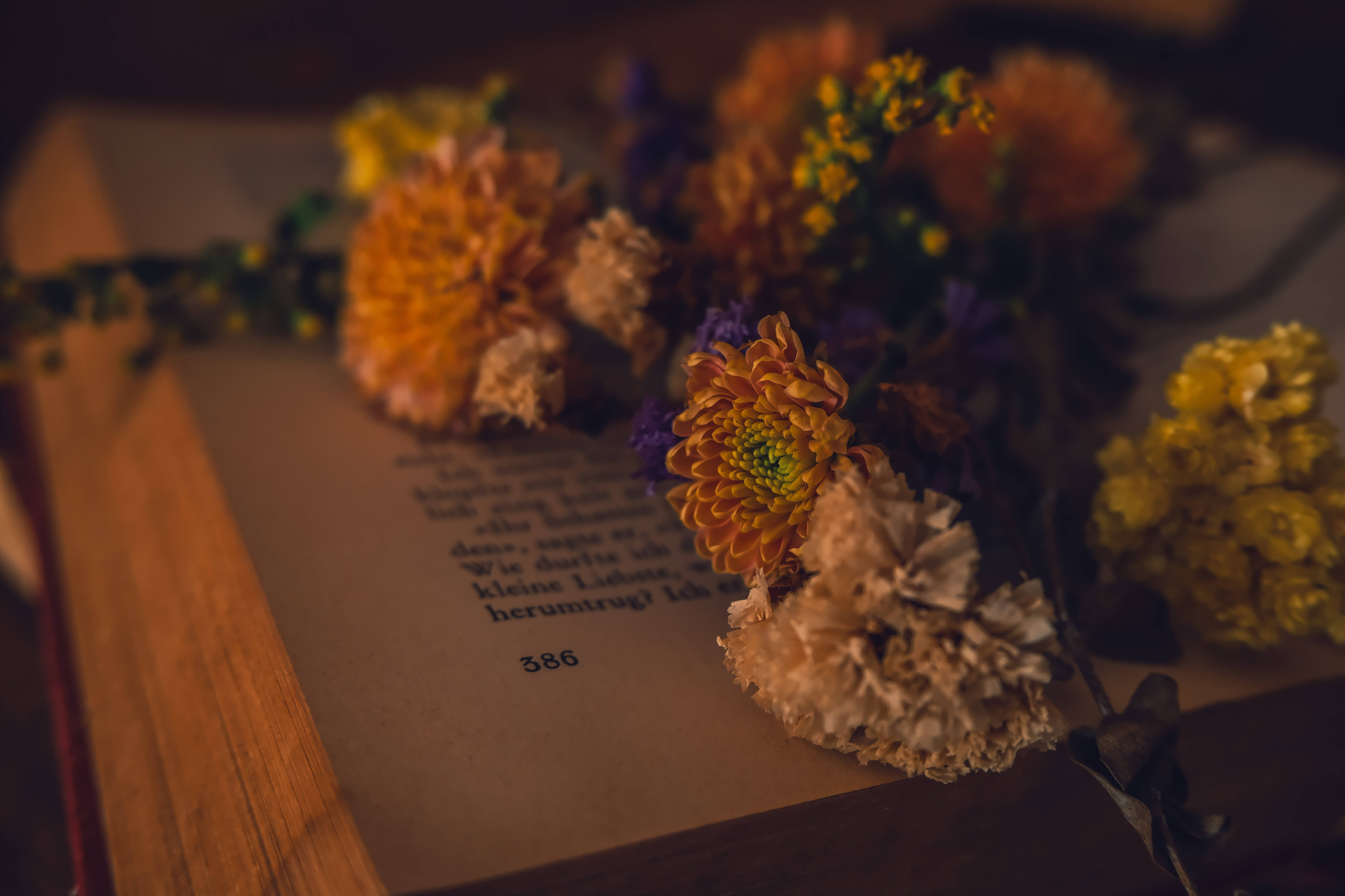 Bukas na Aklat na May Bulaklak Dark Academia Desktop Wallpaper