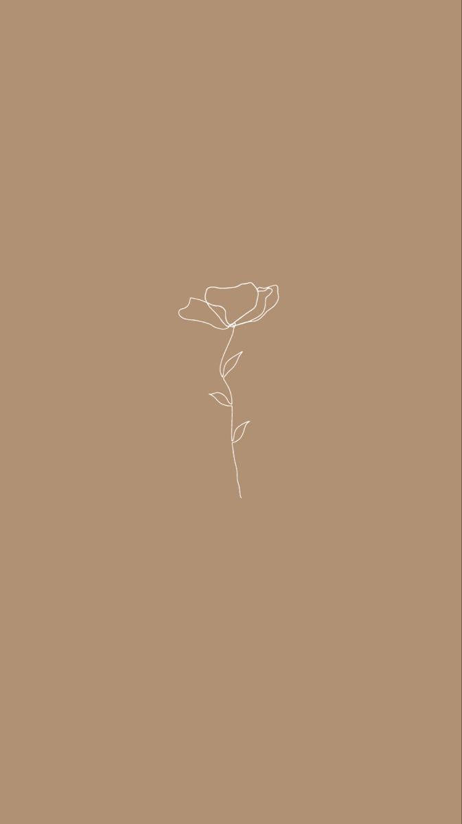 Bulaklak Beige Aesthetic na Telepono Wallpaper