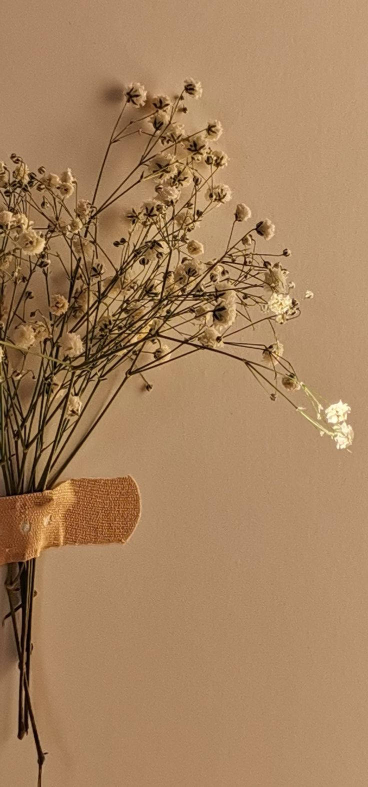 Bulaklak na Dainty Beige Aesthetic Wallpaper