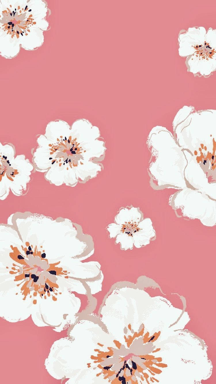 Bulaklak na iPhone Puting Bulaklak Wallpaper