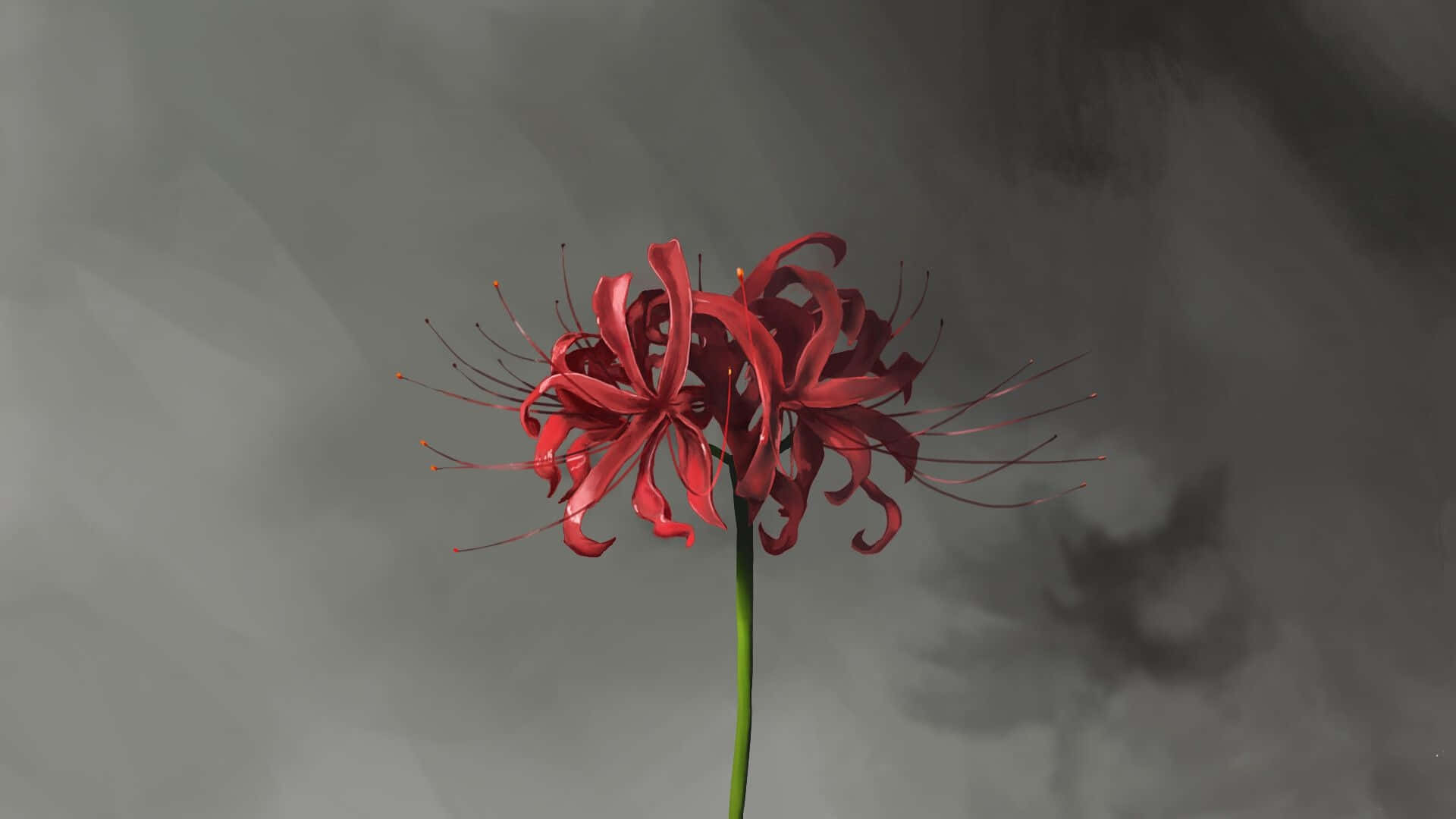 Bulaklak ng Tokyo Ghoul na May Anino Wallpaper
