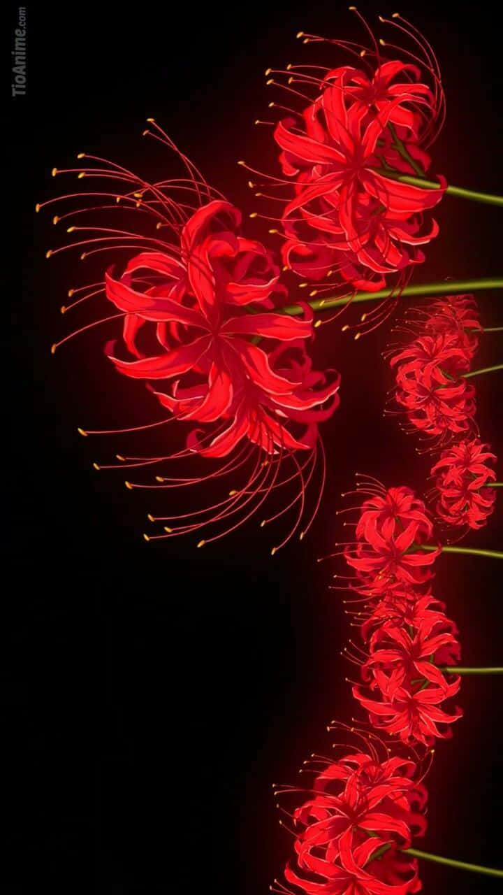 Bulaklak ng Tokyo Ghoul sa Patayong Posisyon Wallpaper