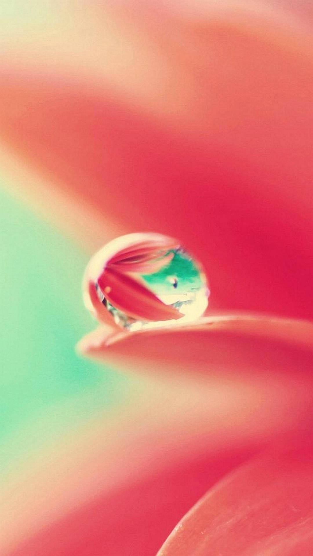 Bulaklak Patak ng Tubig Top iPhone HD Wallpaper