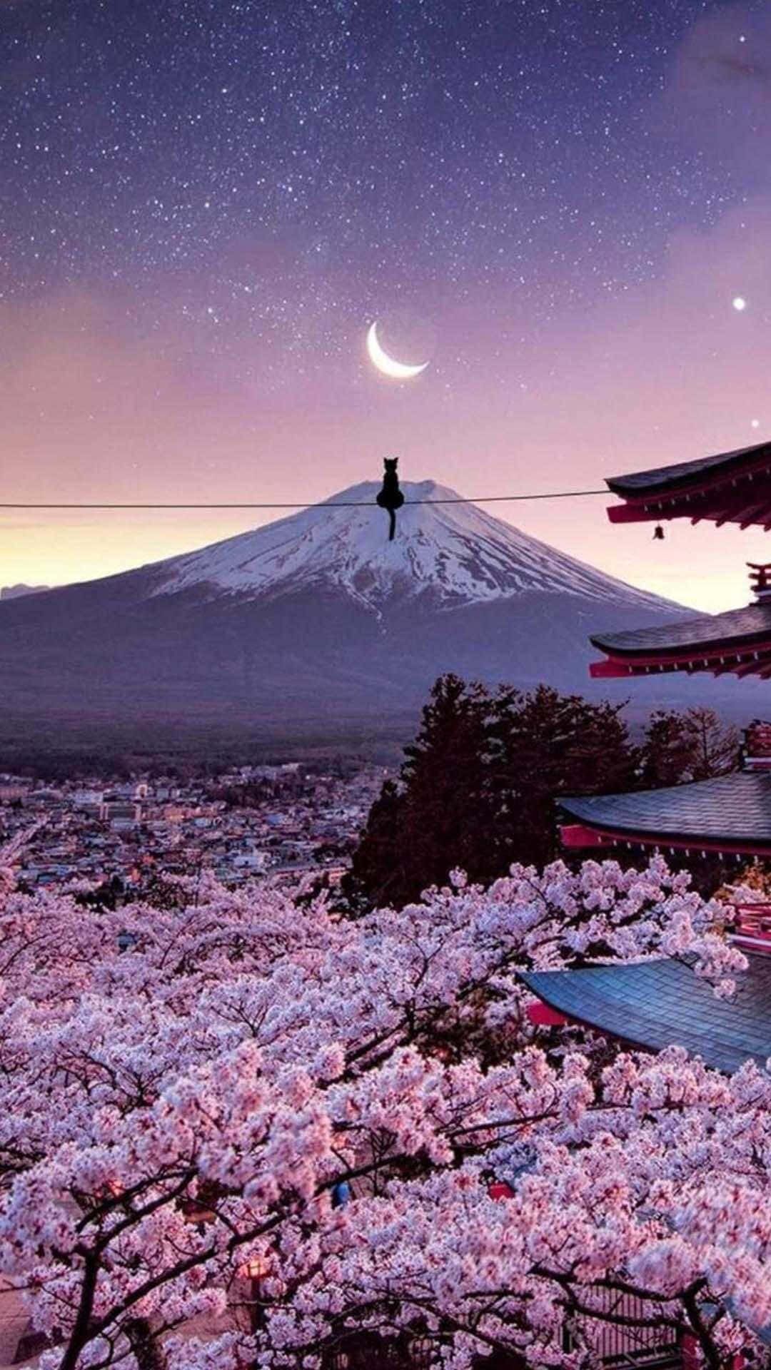 Bundok Fuji at Cherry Blossoms Japanese iPhone Wallpaper