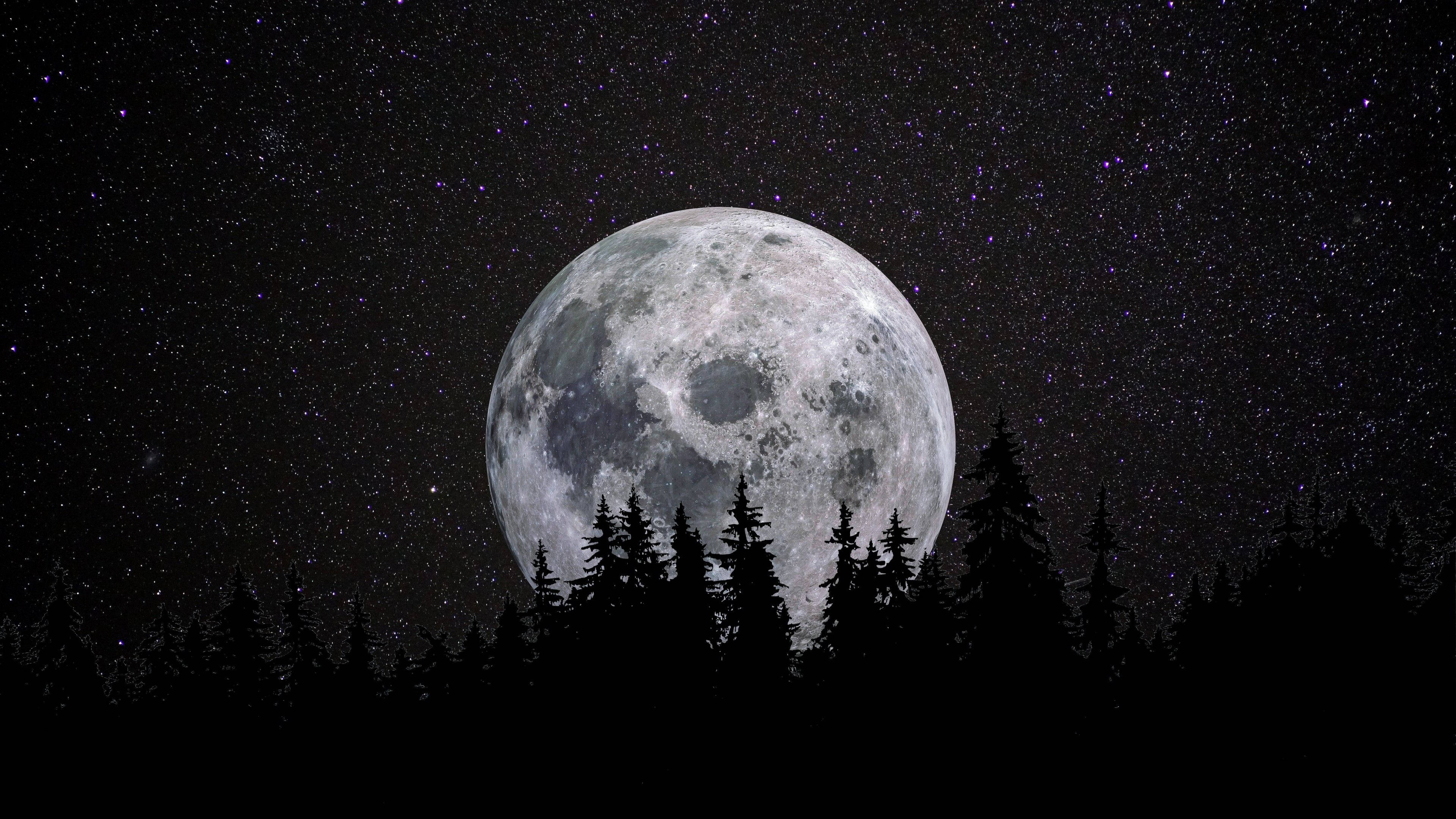 Buwan 4K Kabilugan ng Buwan sa Kagubatan Wallpaper