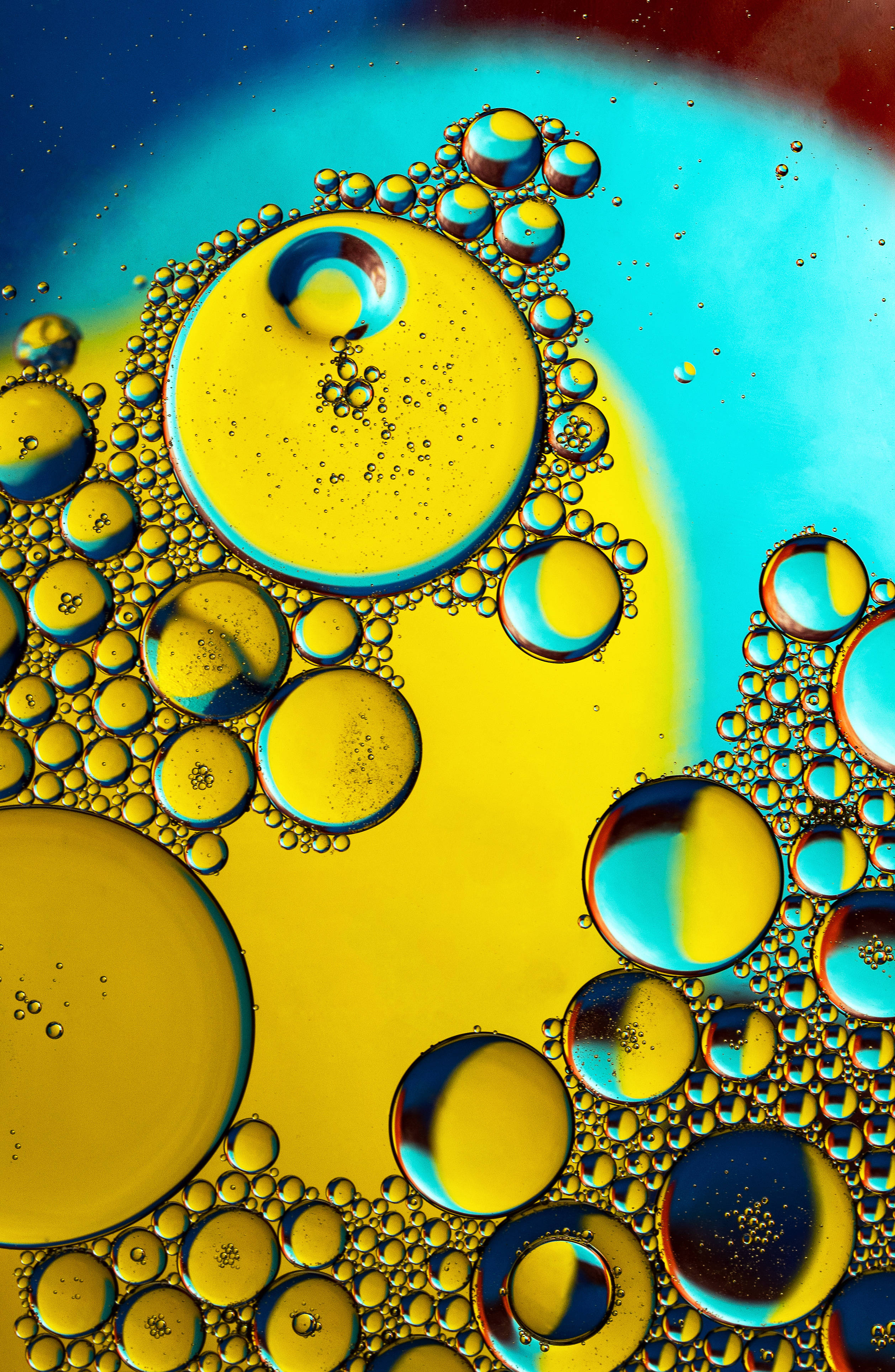 Caption: "Energizing Confluence of Colors" Wallpaper