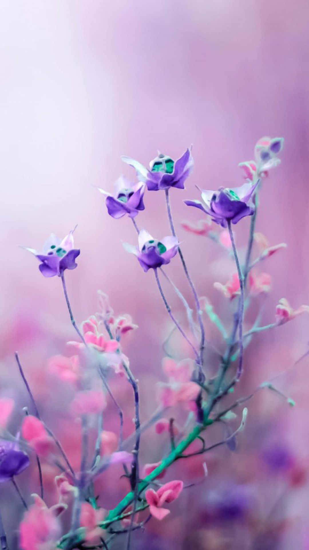 Caption: Nakakabighani na Pink na Bulaklak na Background Wallpaper