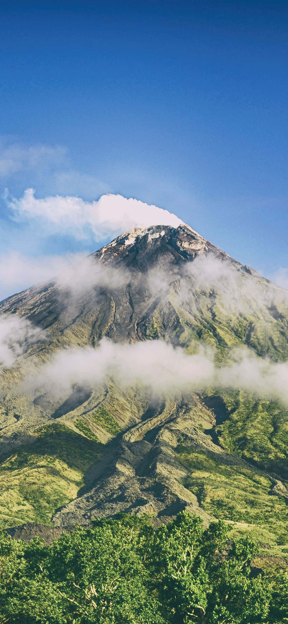 Captivating Nature Scenery para sa iPhone X Background Wallpaper