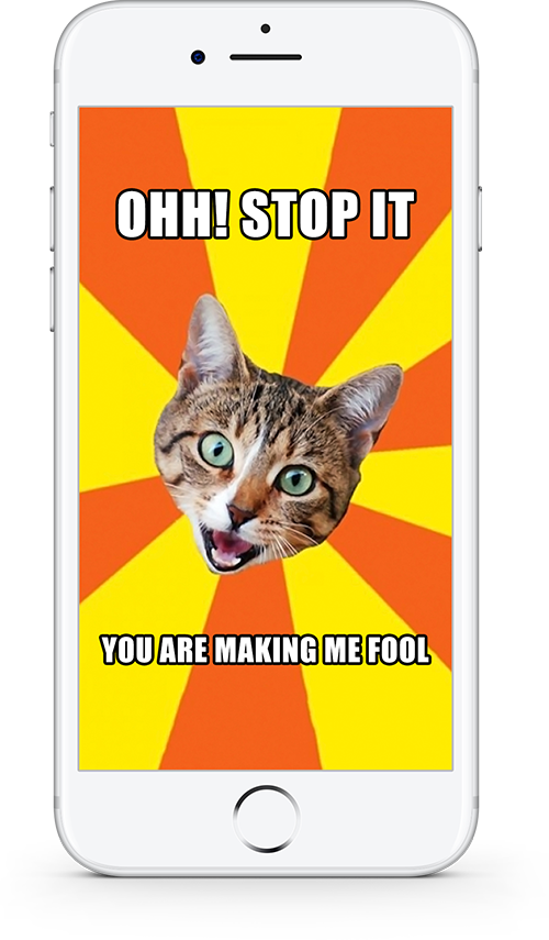 Cat Meme Ohh Tigilan Mo Na Ako Nahihiya Na Ako Wallpaper