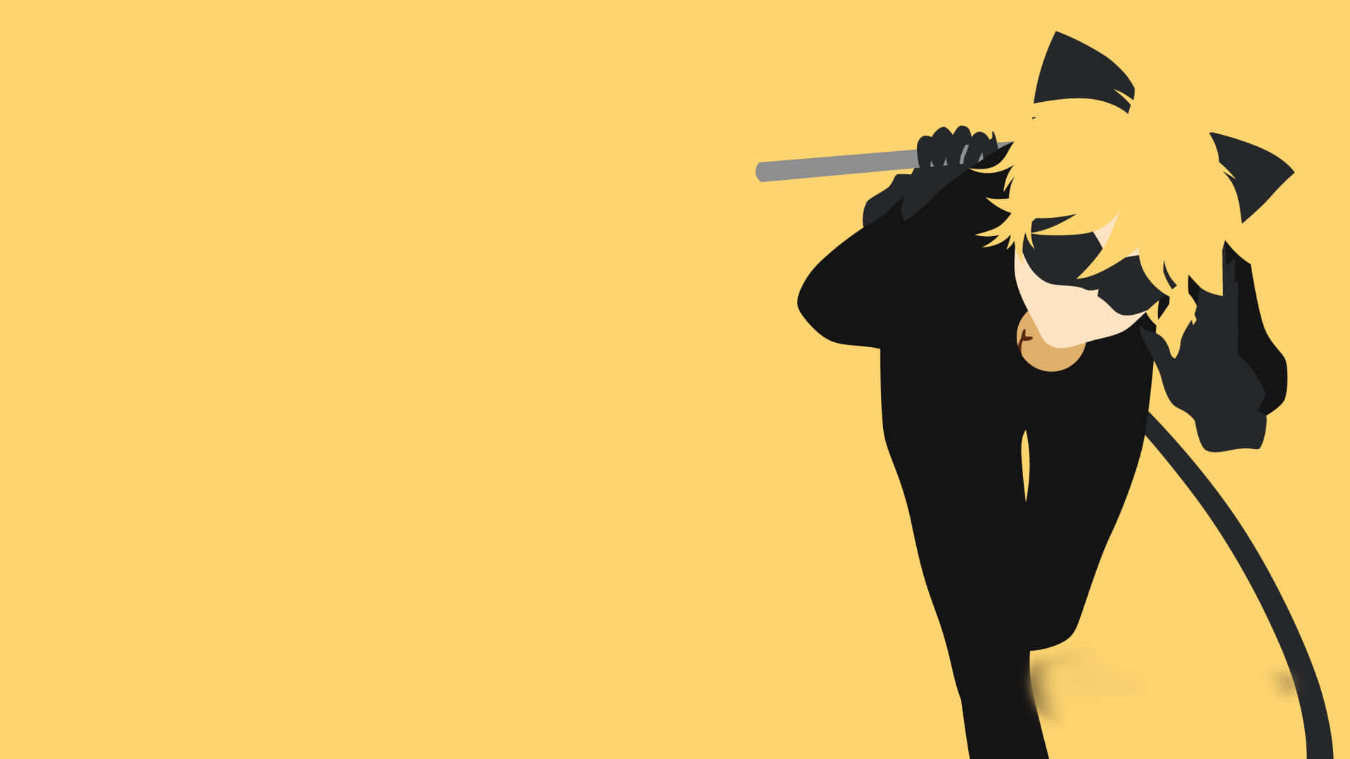 Cat Noir Handa na sa Pakikipagsapalaran Wallpaper