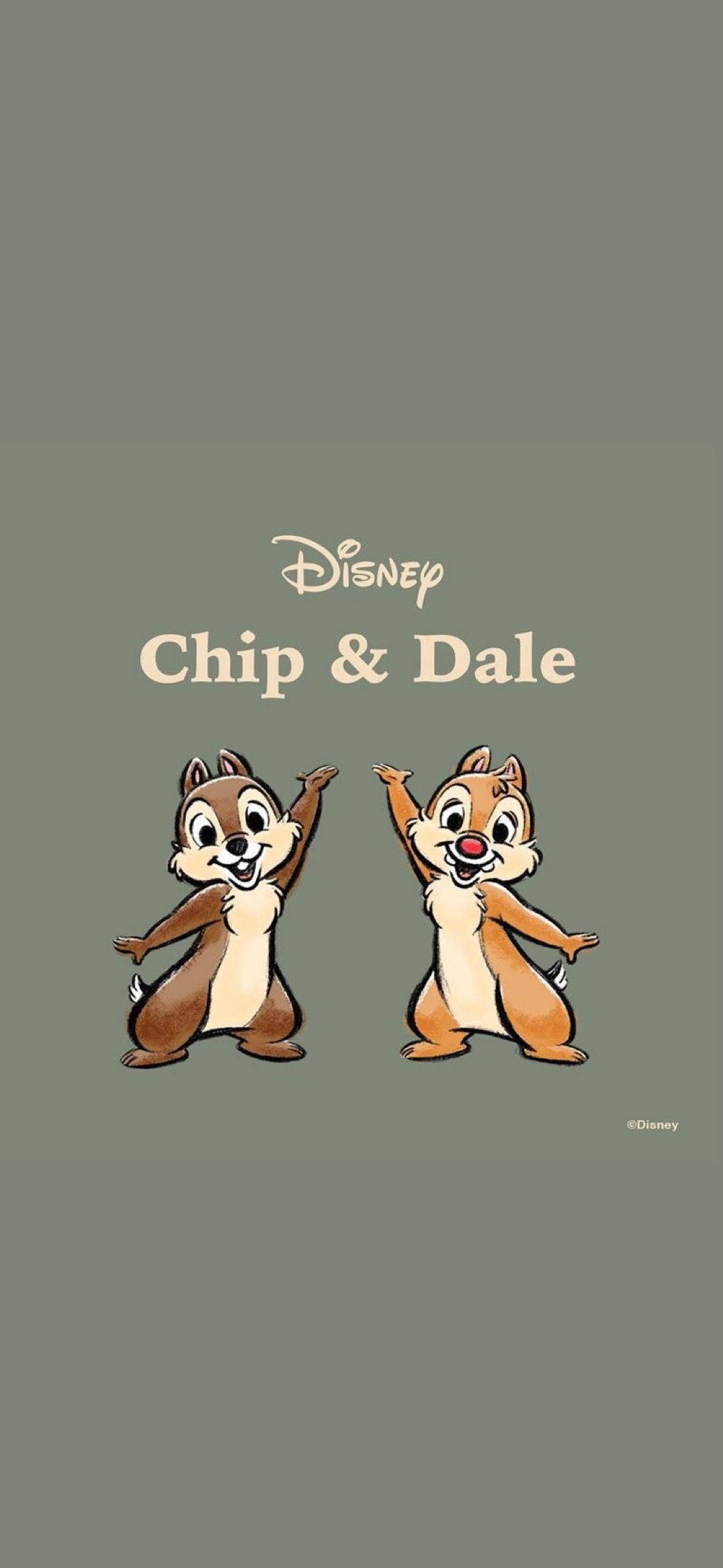Chip N Dale Sa Gray na Background Wallpaper