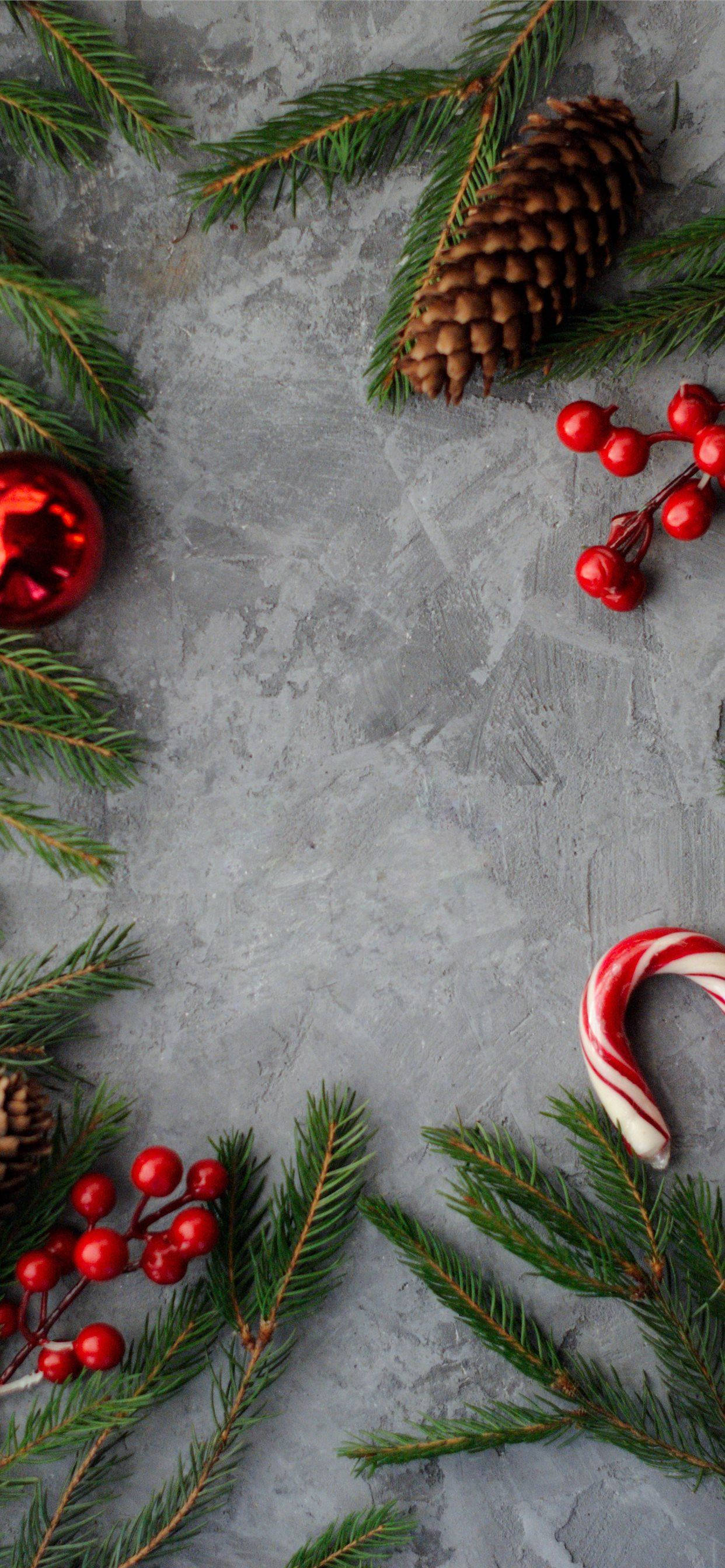 Christmas Candy Cane at Pines Wallpaper