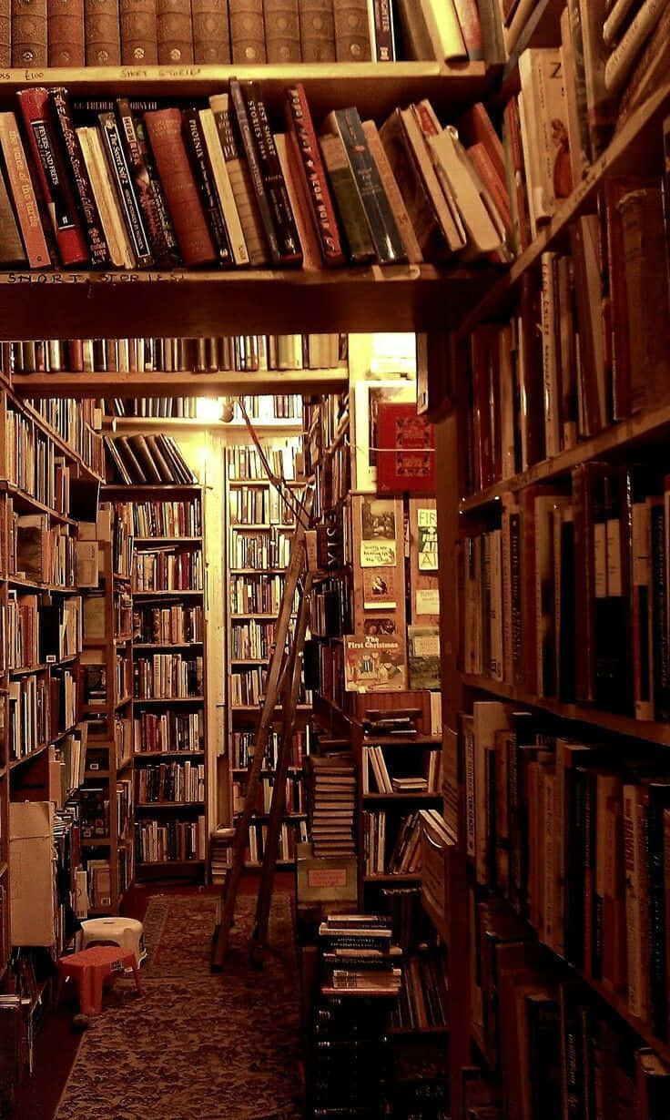 Classic Style Library Picture Wallpaper