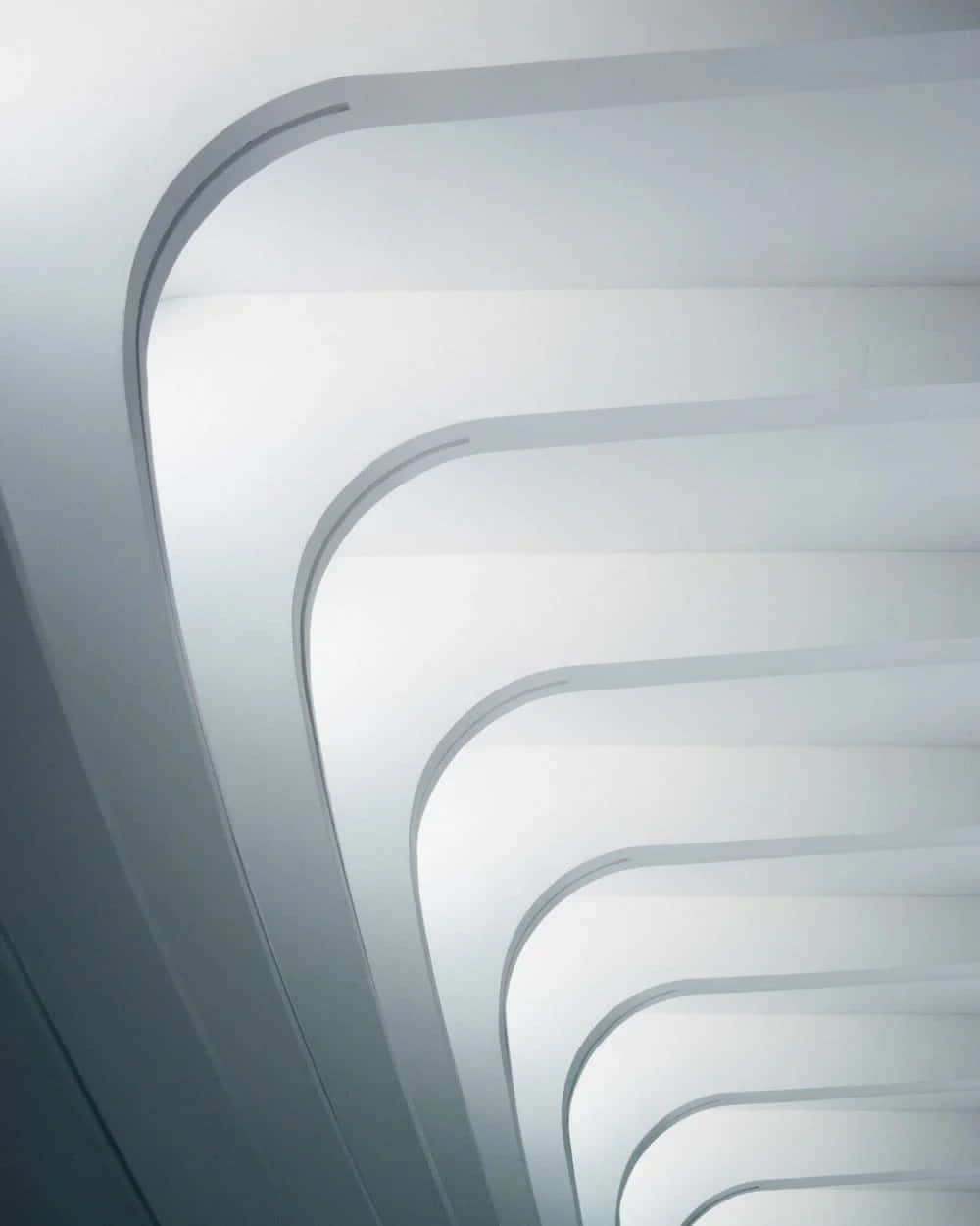 Close-up ng Isang Retina Display Wallpaper