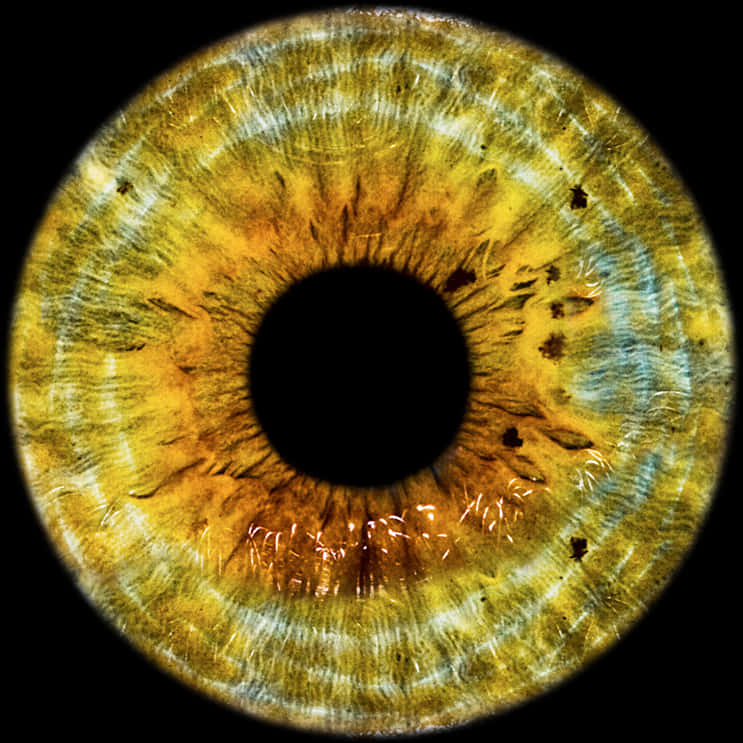 Closeup ng Texture ng Iris ng Mata ng Tao Wallpaper