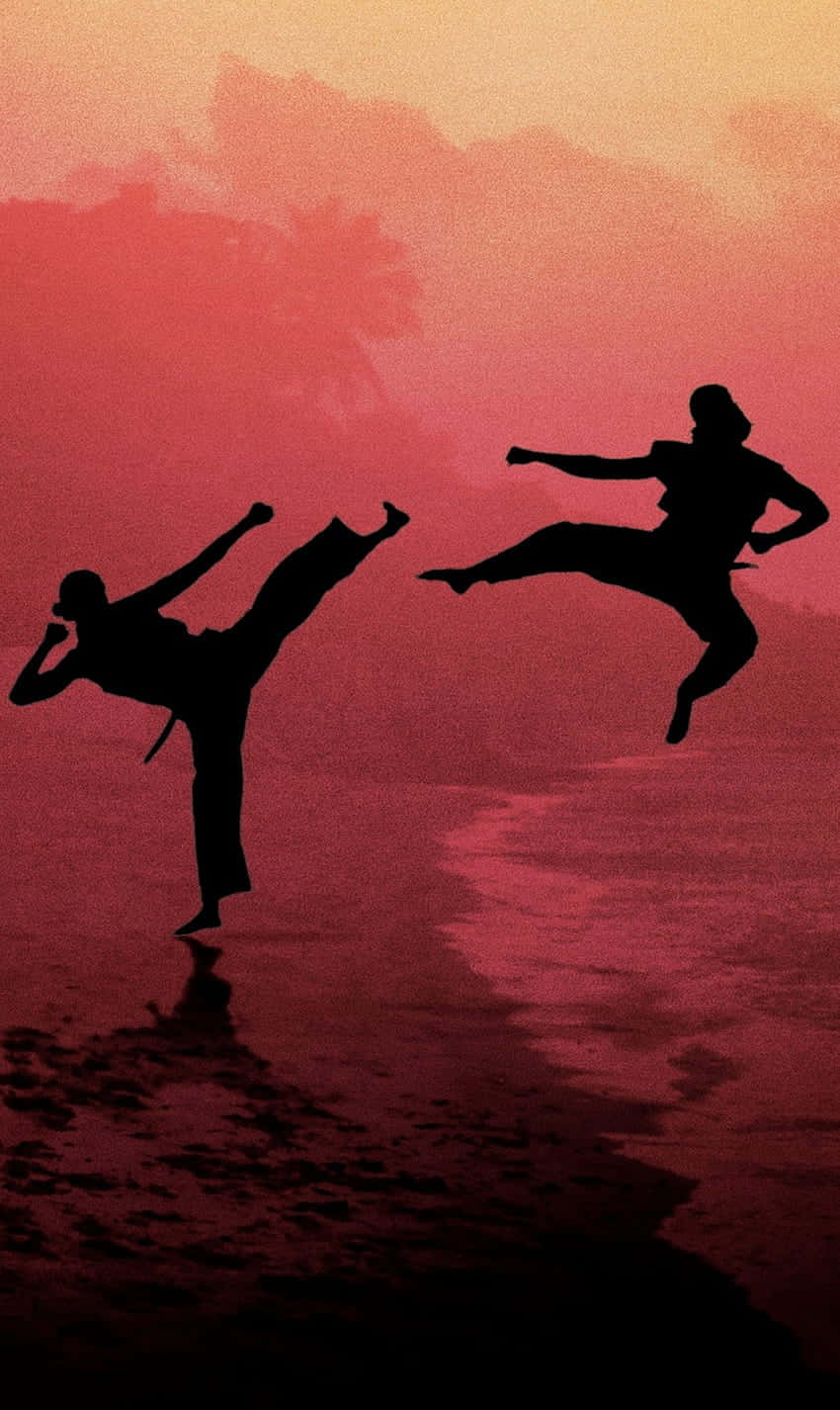 Cobra Kai iPhone Xr Fight Silhouette Background Wallpaper