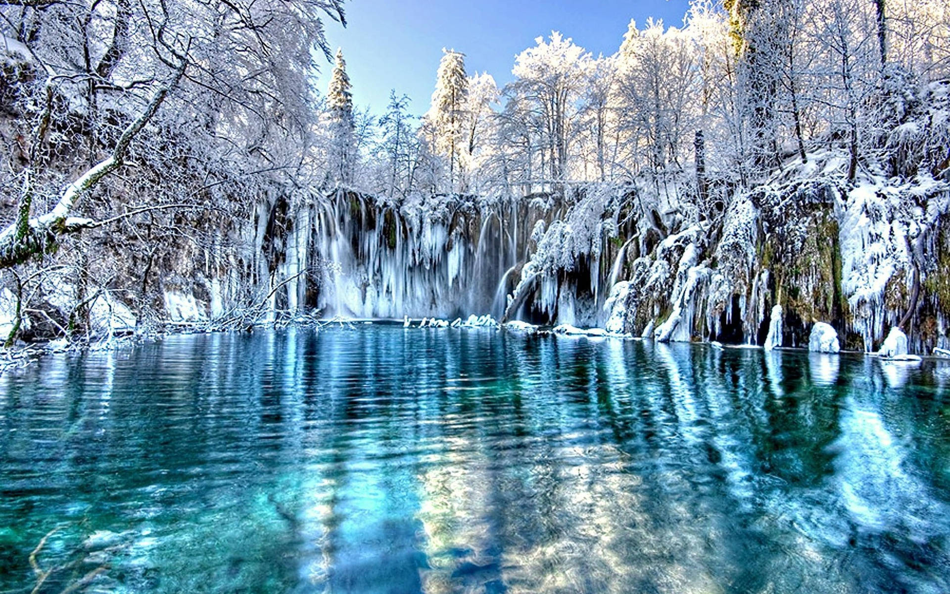 Malamig na Forest Snowy Lake Wallpaper