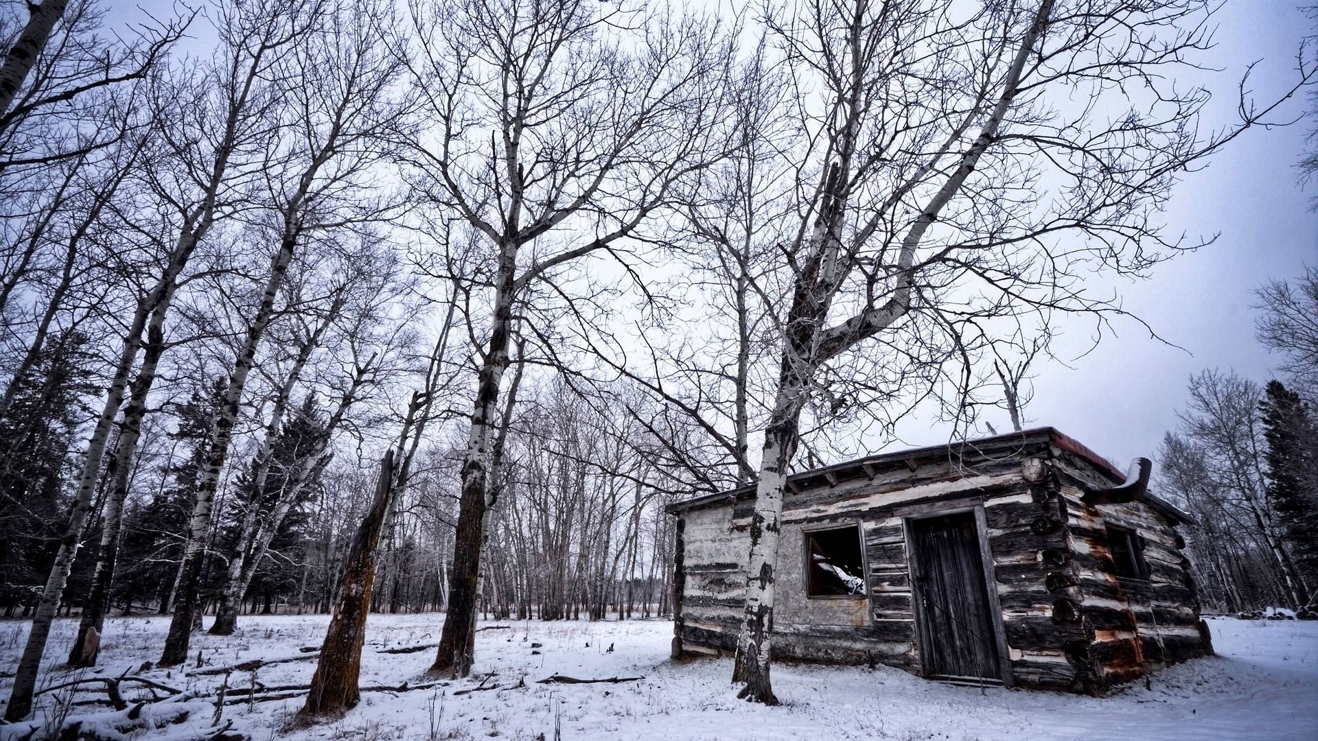 Malamig na Winter Forest Log House Wallpaper