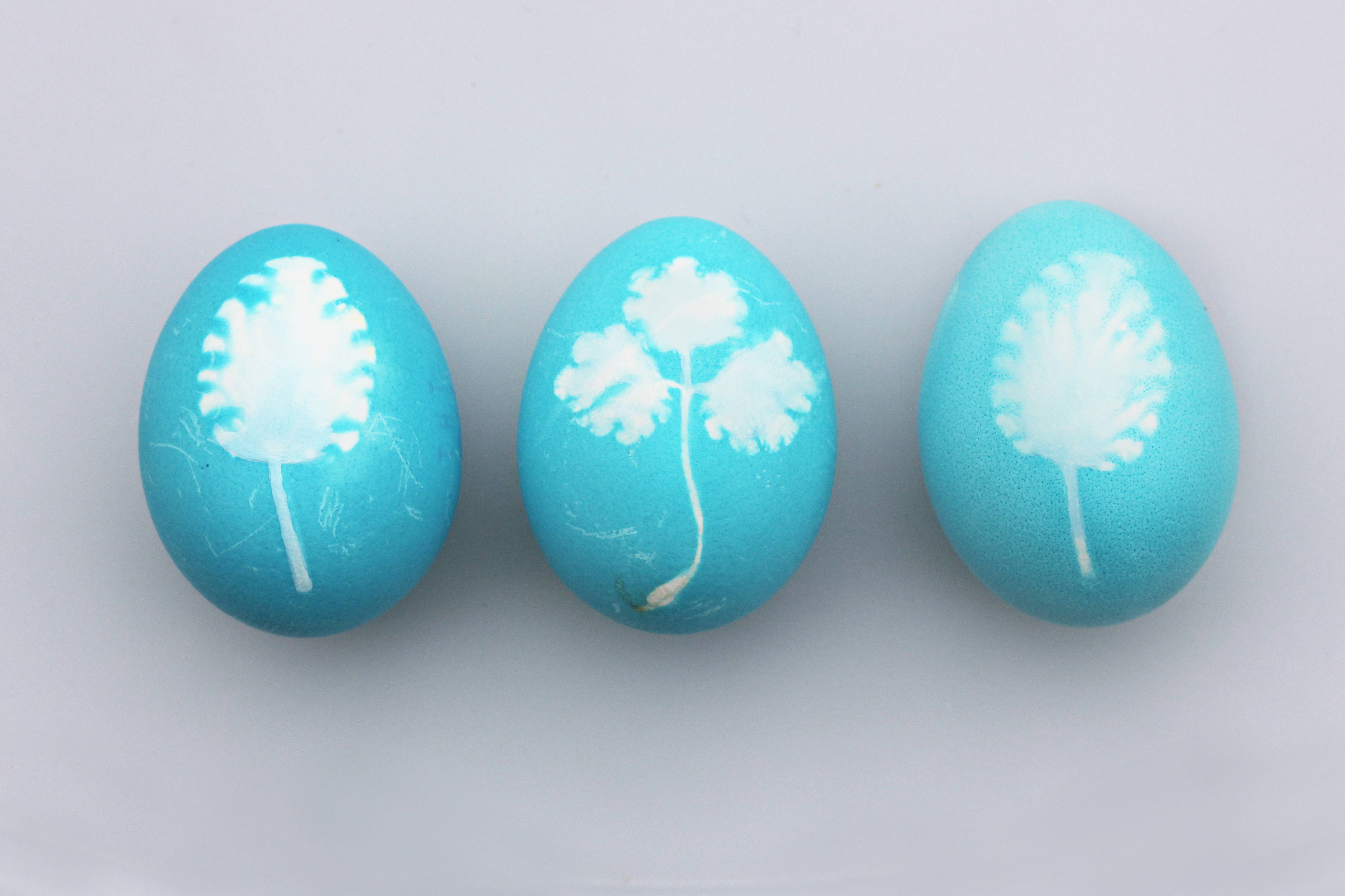 Makukulay na Easter eggs nagdadala ng saya sa espesyal na holiday season. Wallpaper