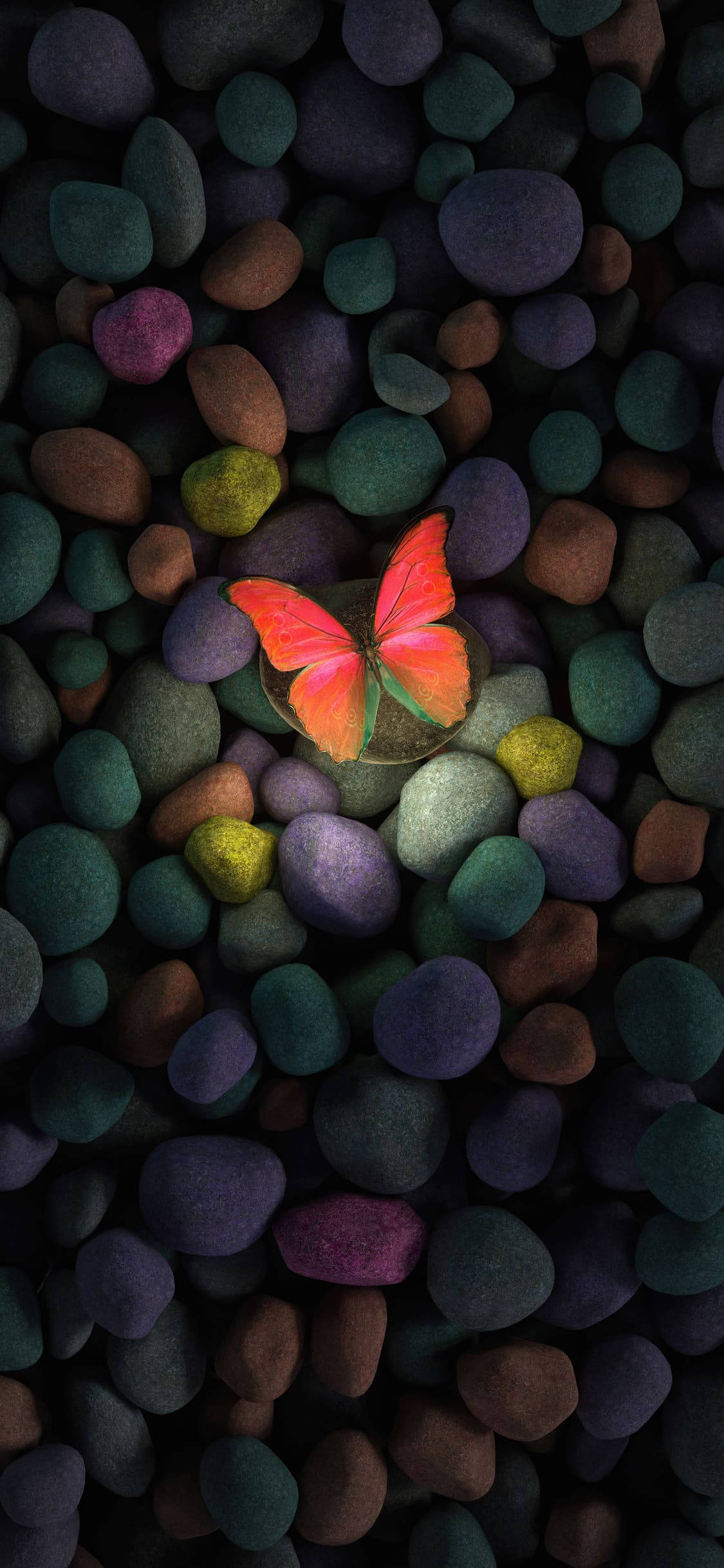 Colroful Pebble At Butterfly Aesthetic iPhone Xr Wallpaper