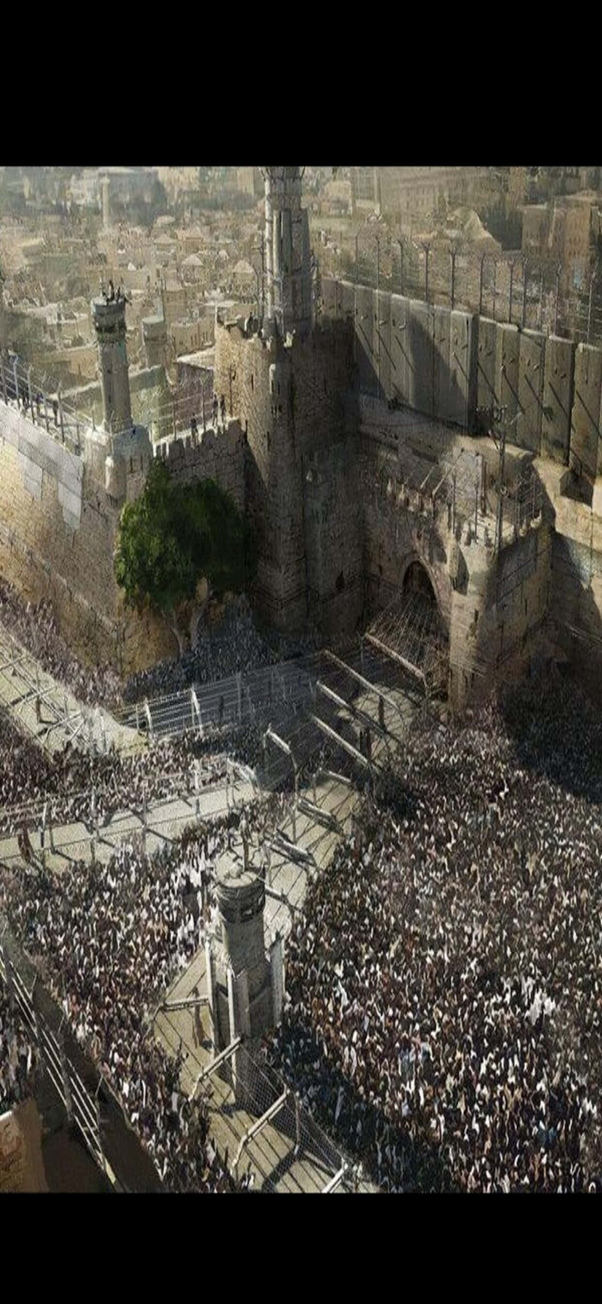 Concept Art iPhone XS Max World War Z Background Wallpaper