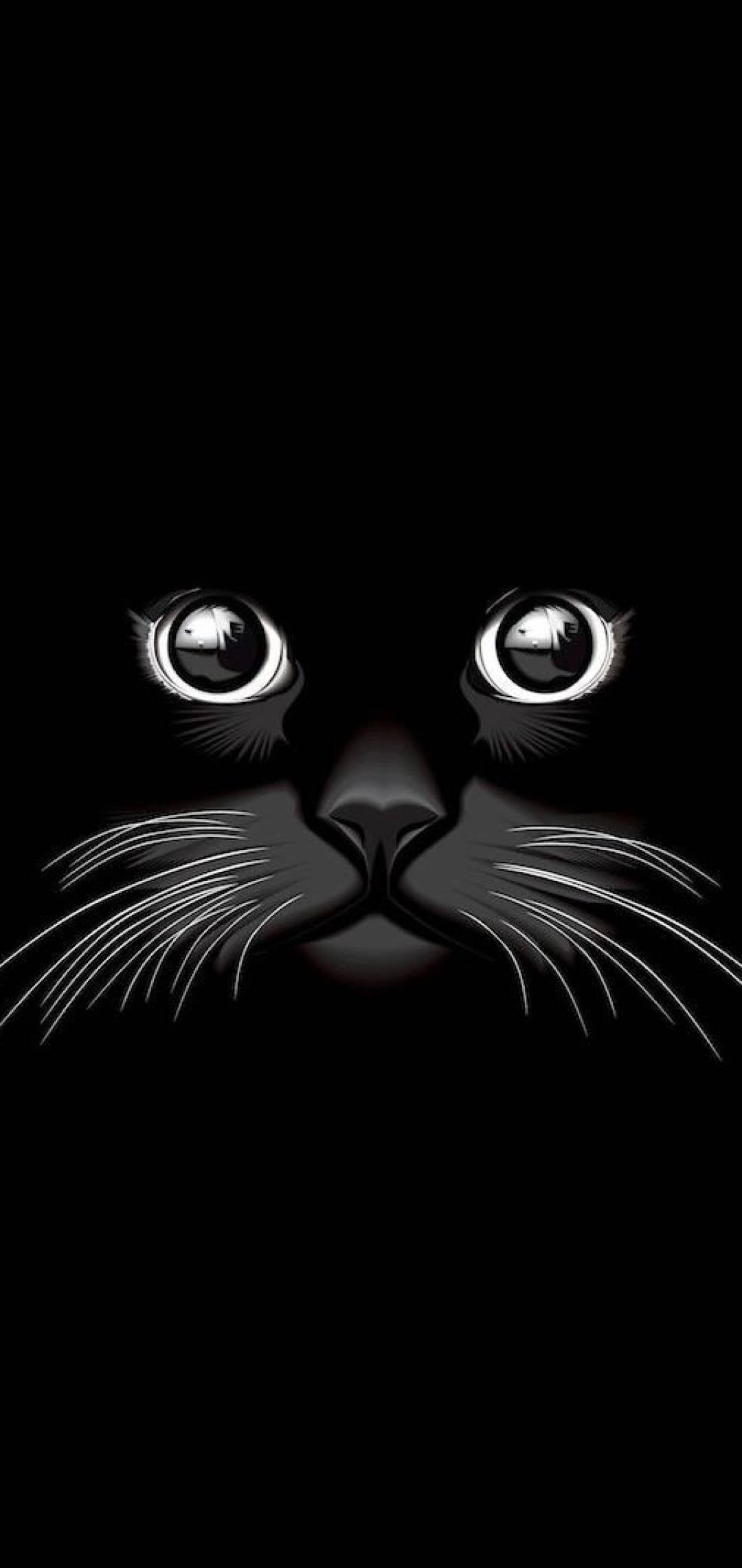 Cool Black Cat Wallpaper