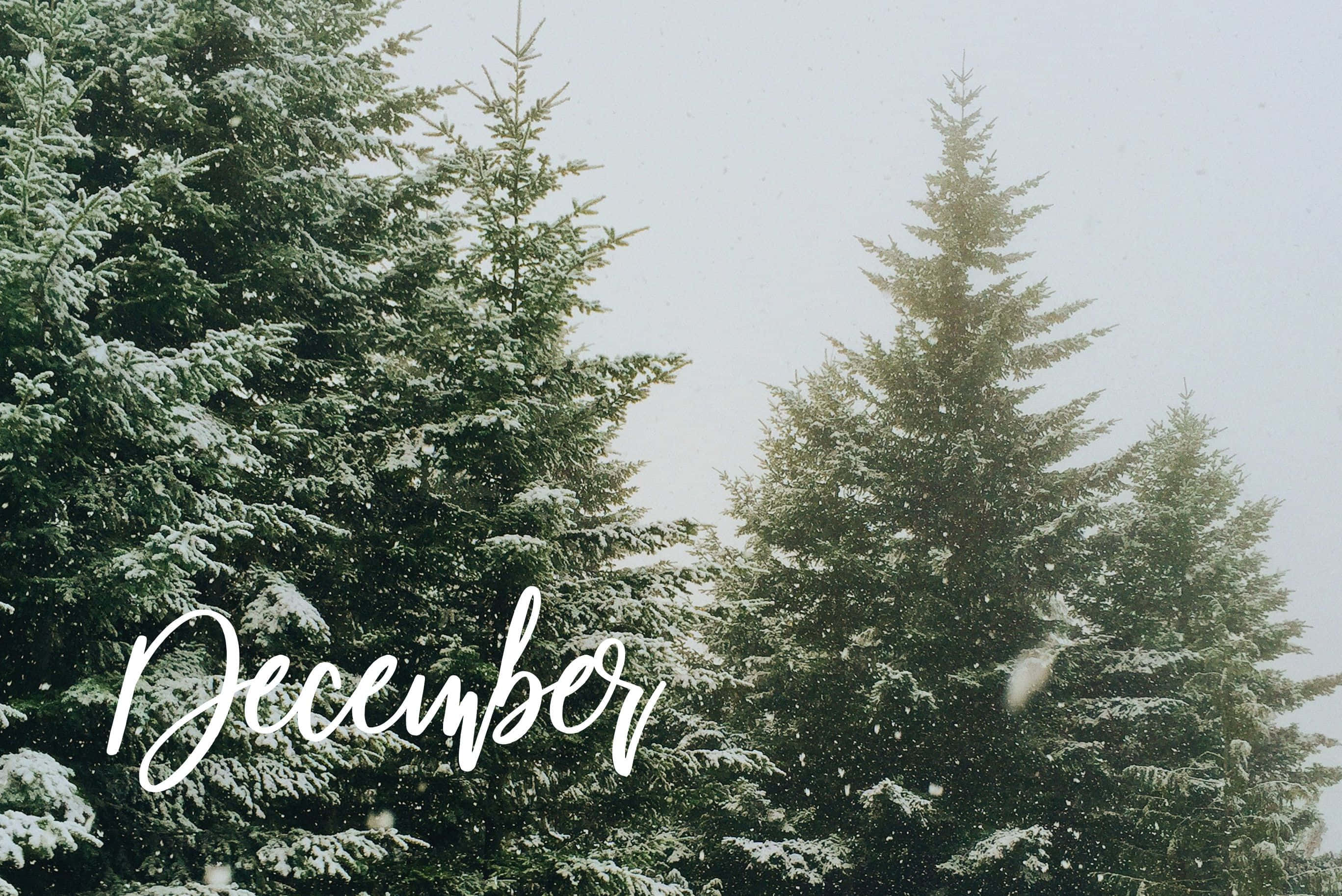 Cool Christmas Aesthetic na Tumblr Computer Screen Wallpaper